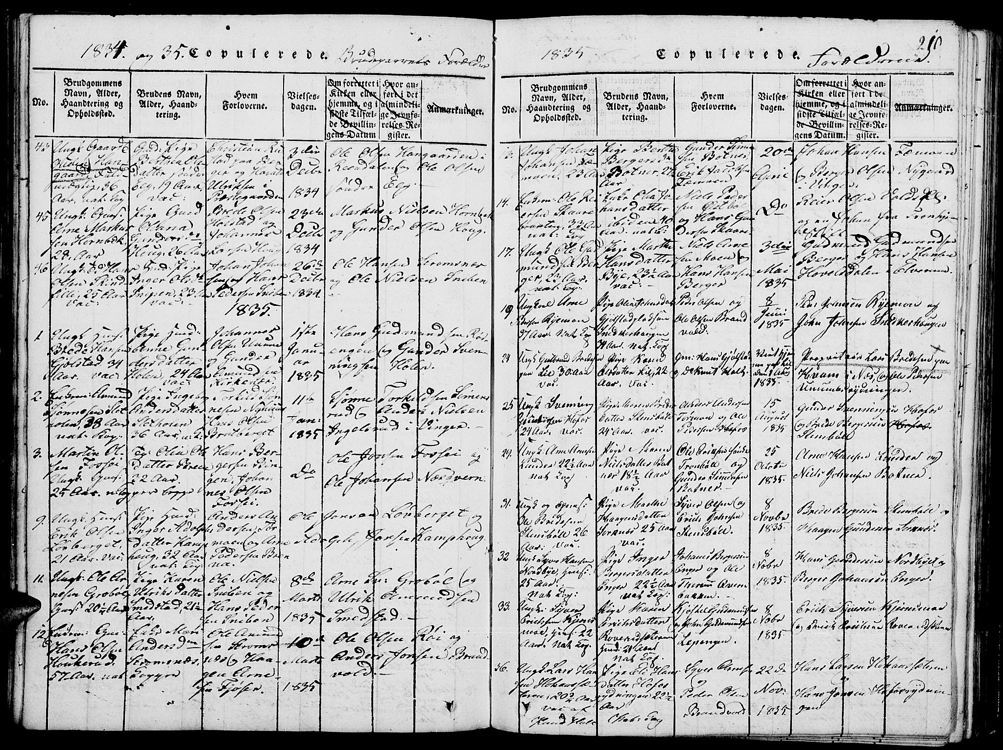 Grue prestekontor, SAH/PREST-036/H/Ha/Hab/L0001: Parish register (copy) no. 1, 1814-1841, p. 210