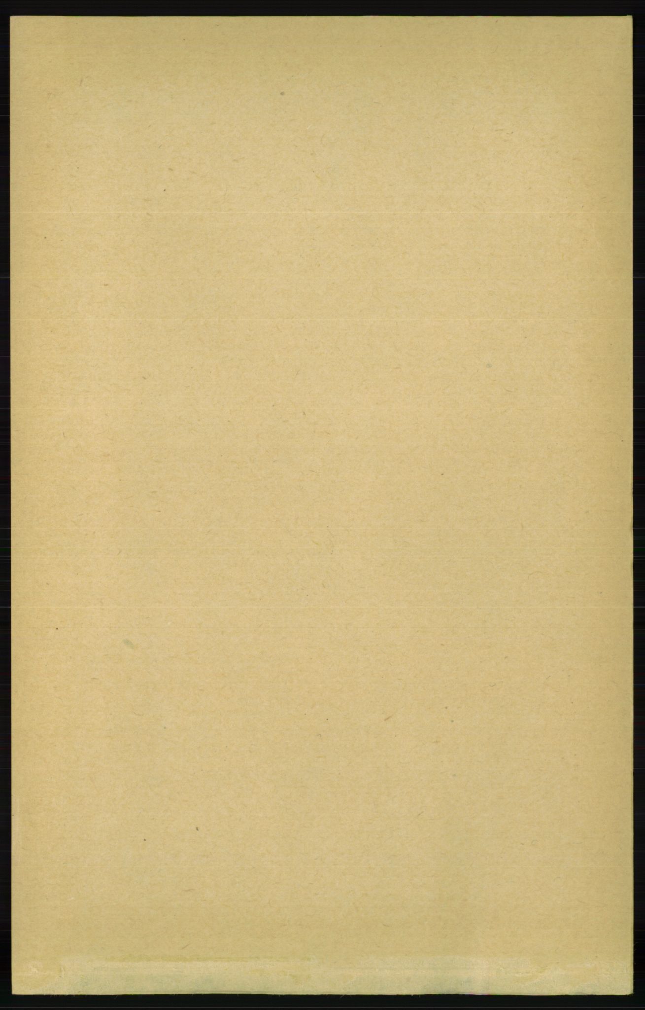 RA, 1891 census for 1012 Oddernes, 1891, p. 561