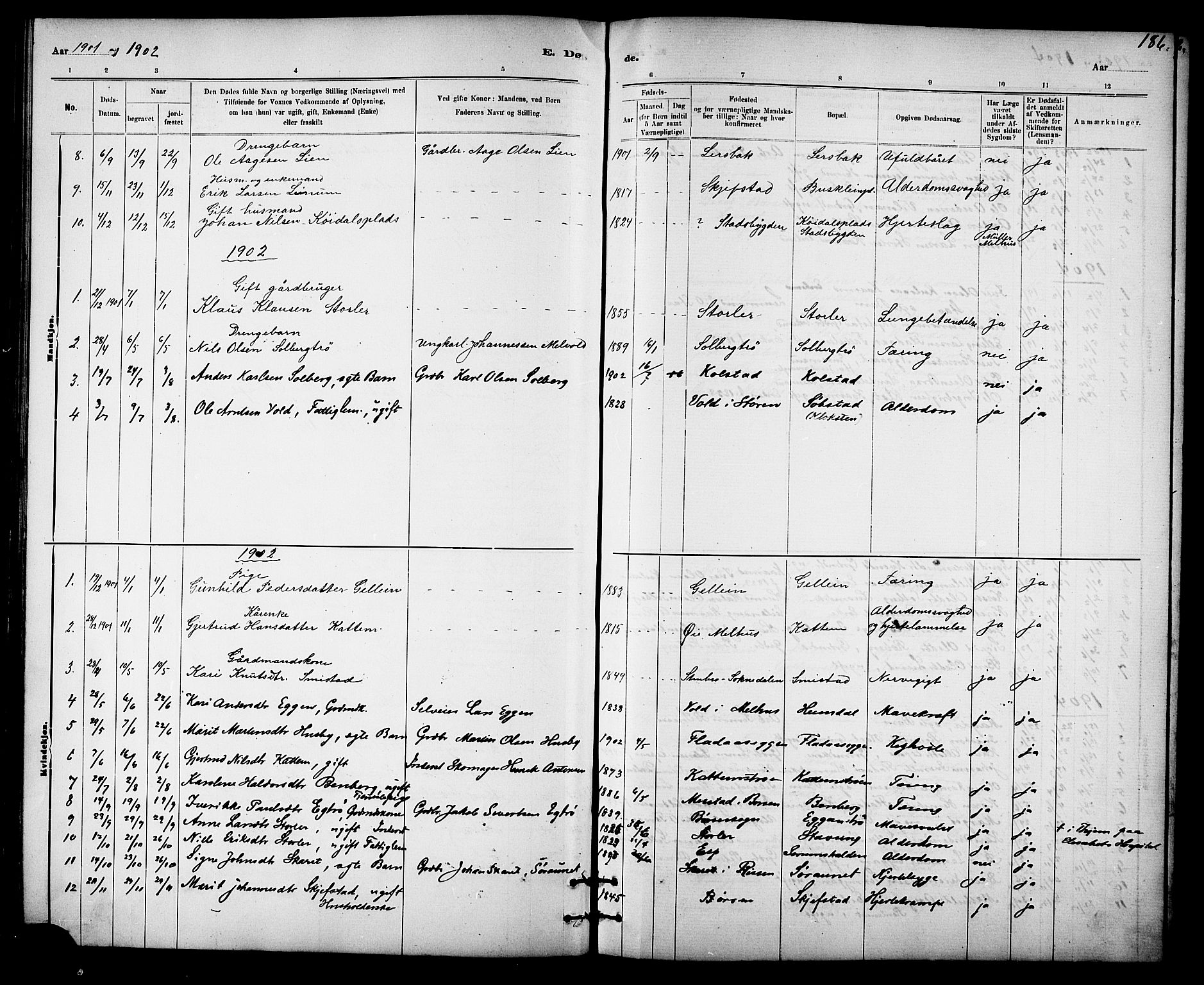 Ministerialprotokoller, klokkerbøker og fødselsregistre - Sør-Trøndelag, AV/SAT-A-1456/613/L0395: Parish register (copy) no. 613C03, 1887-1909, p. 186