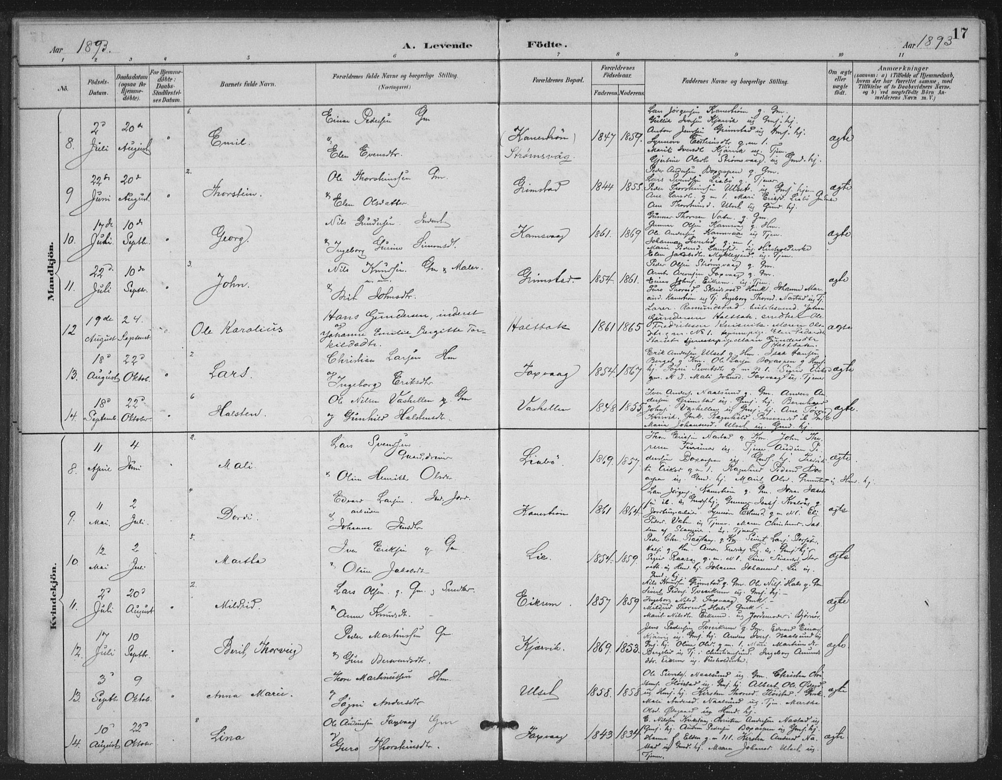 Ministerialprotokoller, klokkerbøker og fødselsregistre - Møre og Romsdal, AV/SAT-A-1454/587/L1000: Parish register (official) no. 587A02, 1887-1910, p. 17