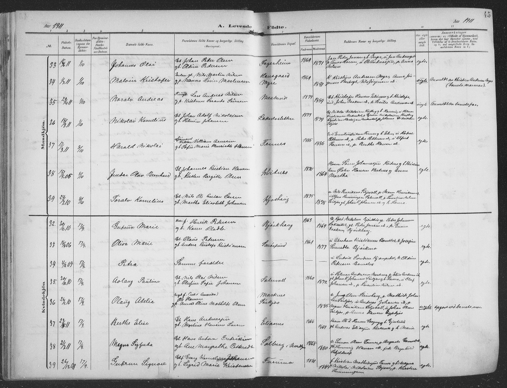 Balsfjord sokneprestembete, AV/SATØ-S-1303/G/Ga/L0009klokker: Parish register (copy) no. 9, 1906-1920, p. 45