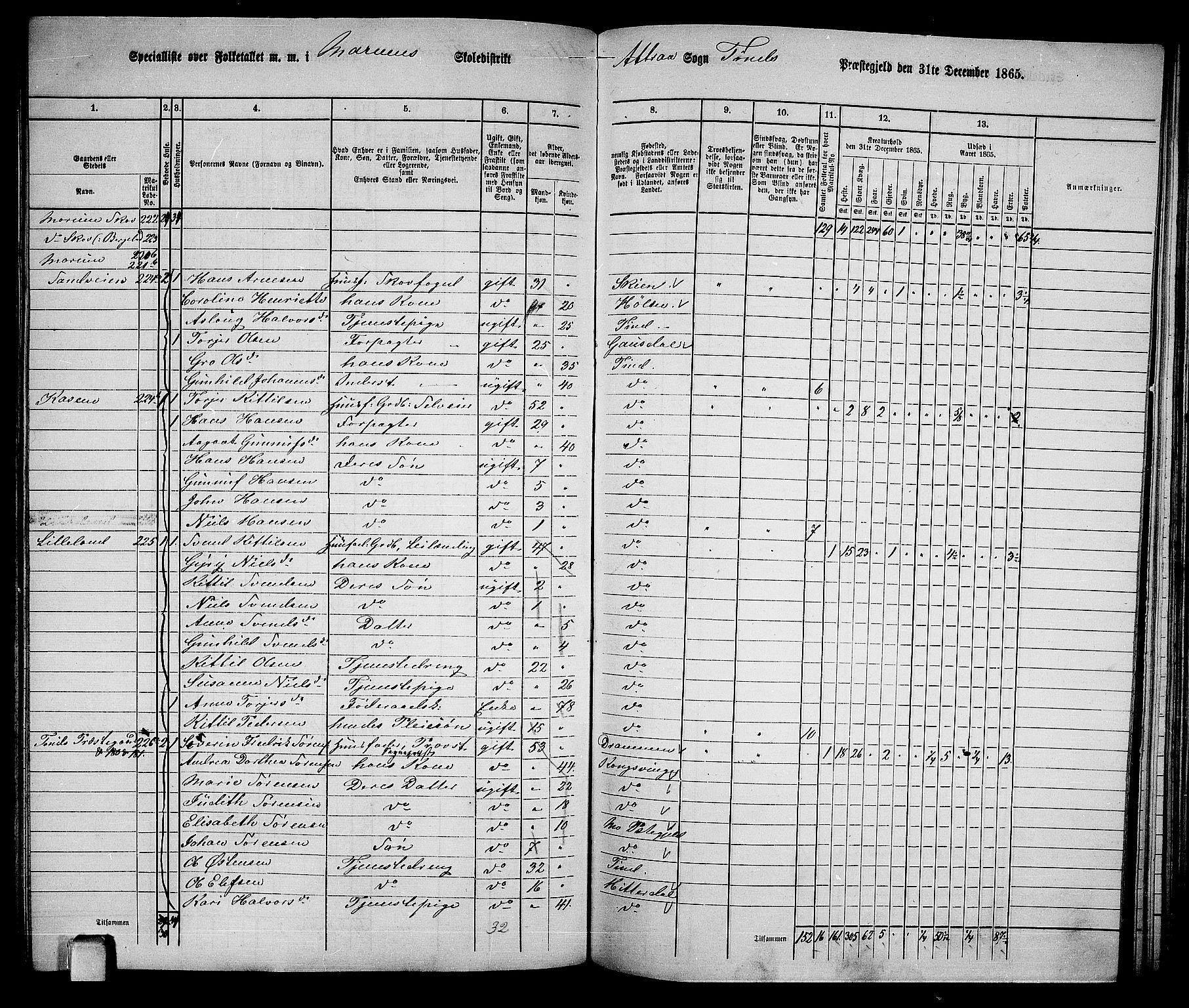 RA, 1865 census for Tinn, 1865, p. 66