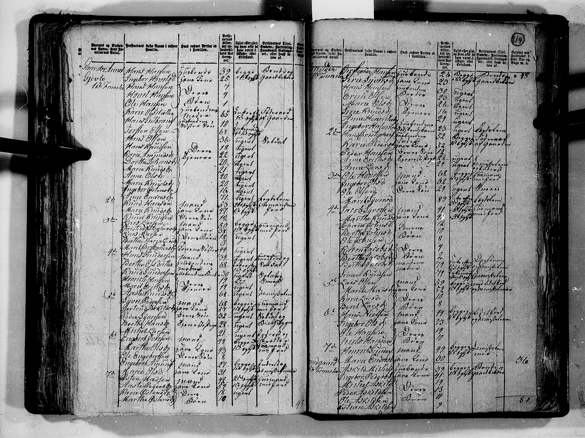 RA, 1801 census for 0536P Land, 1801, p. 813b-814a