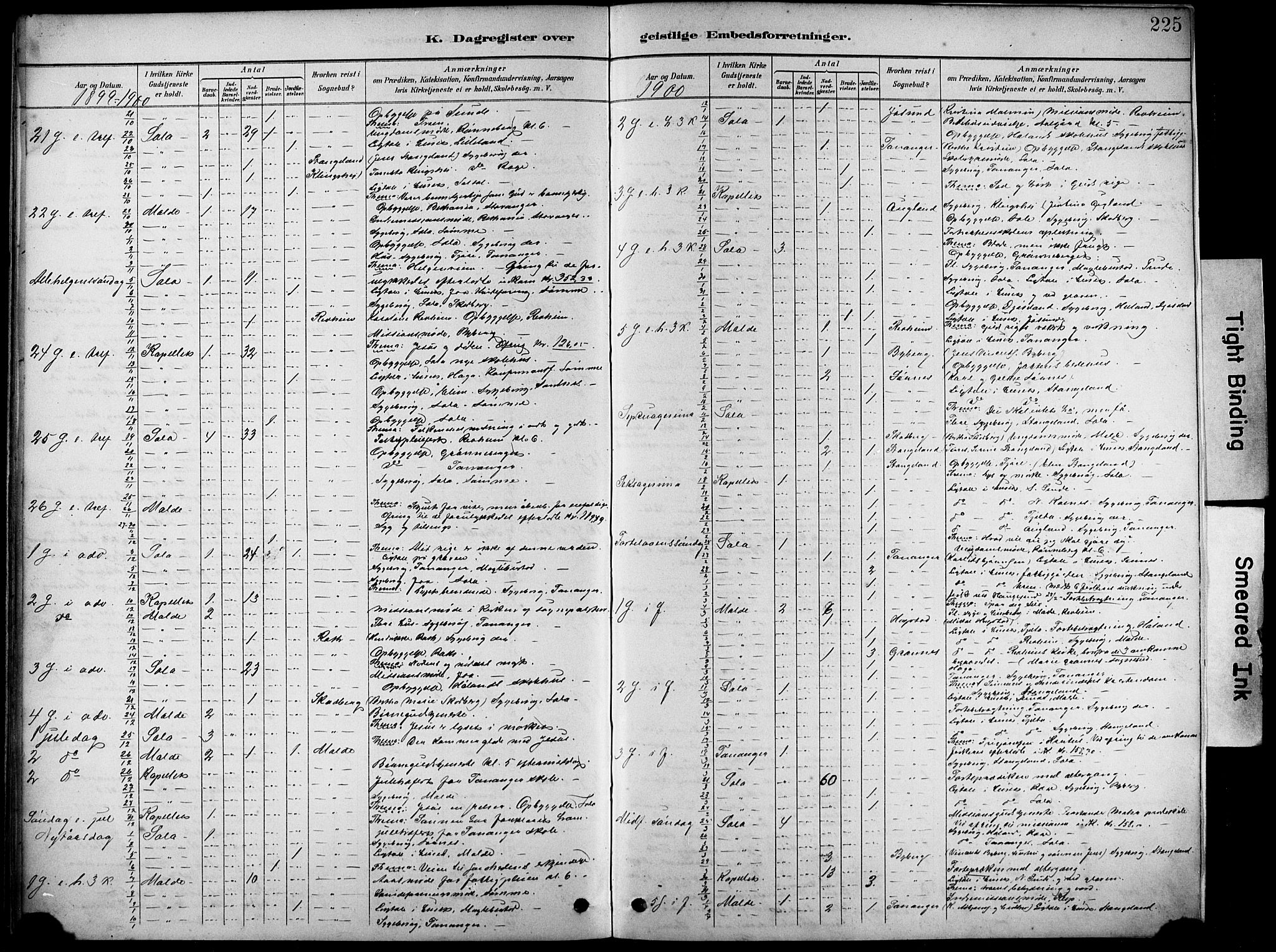Håland sokneprestkontor, SAST/A-101802/001/30BA/L0012: Parish register (official) no. A 11, 1889-1900, p. 225