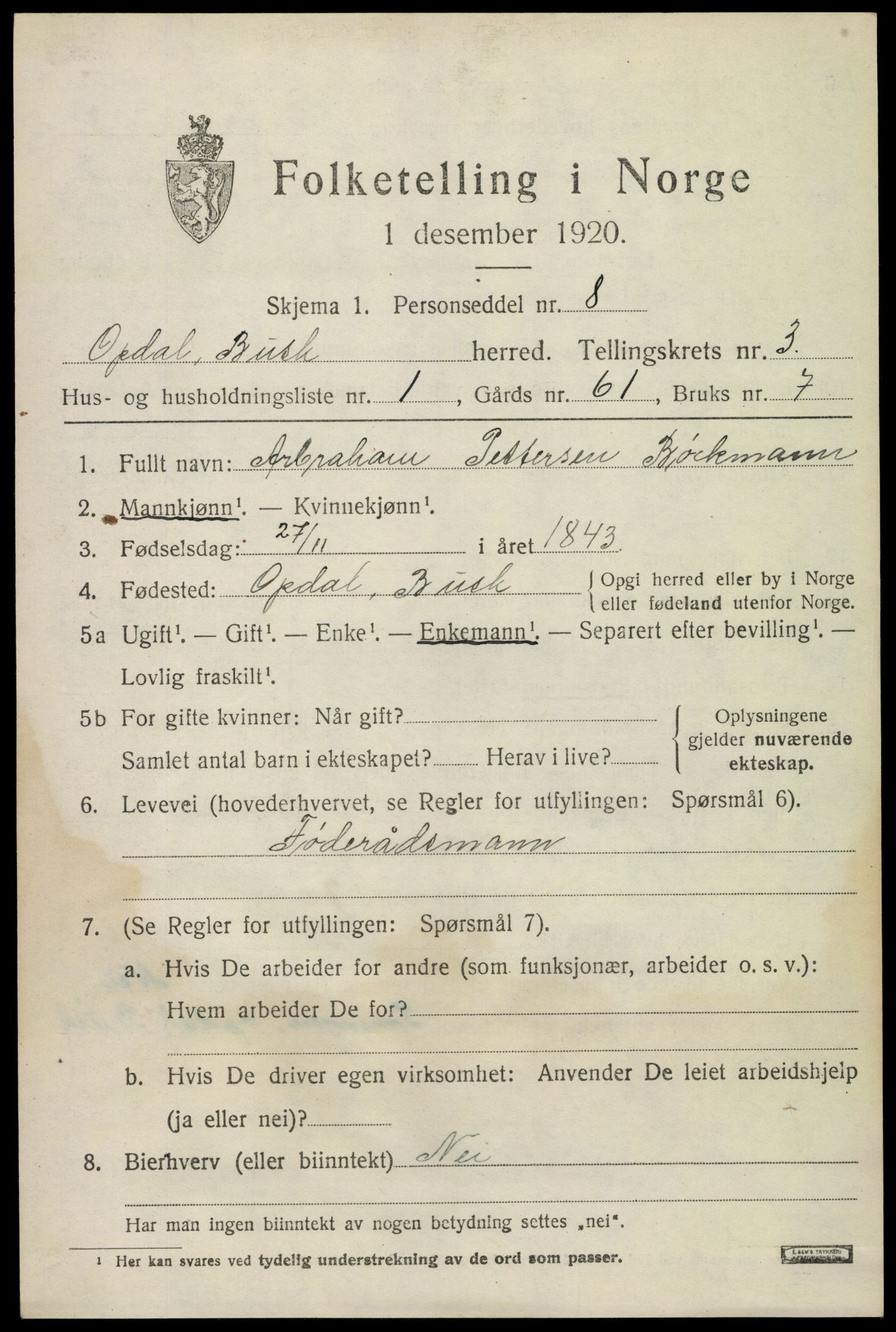 SAKO, 1920 census for Uvdal, 1920, p. 1305