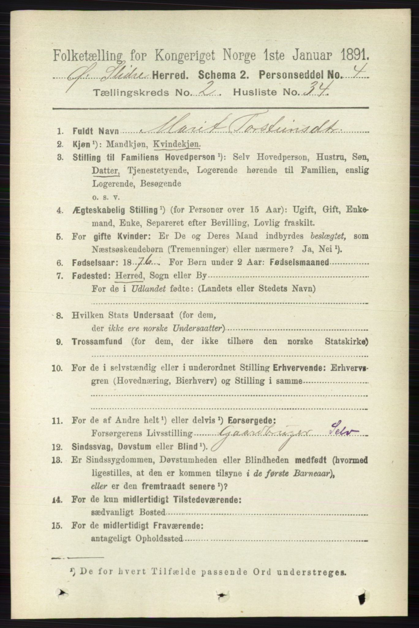 RA, 1891 census for 0544 Øystre Slidre, 1891, p. 437