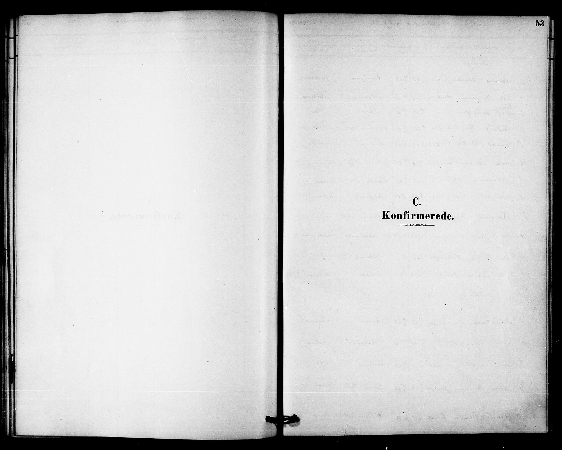 Ministerialprotokoller, klokkerbøker og fødselsregistre - Nord-Trøndelag, SAT/A-1458/745/L0429: Parish register (official) no. 745A01, 1878-1894, p. 53