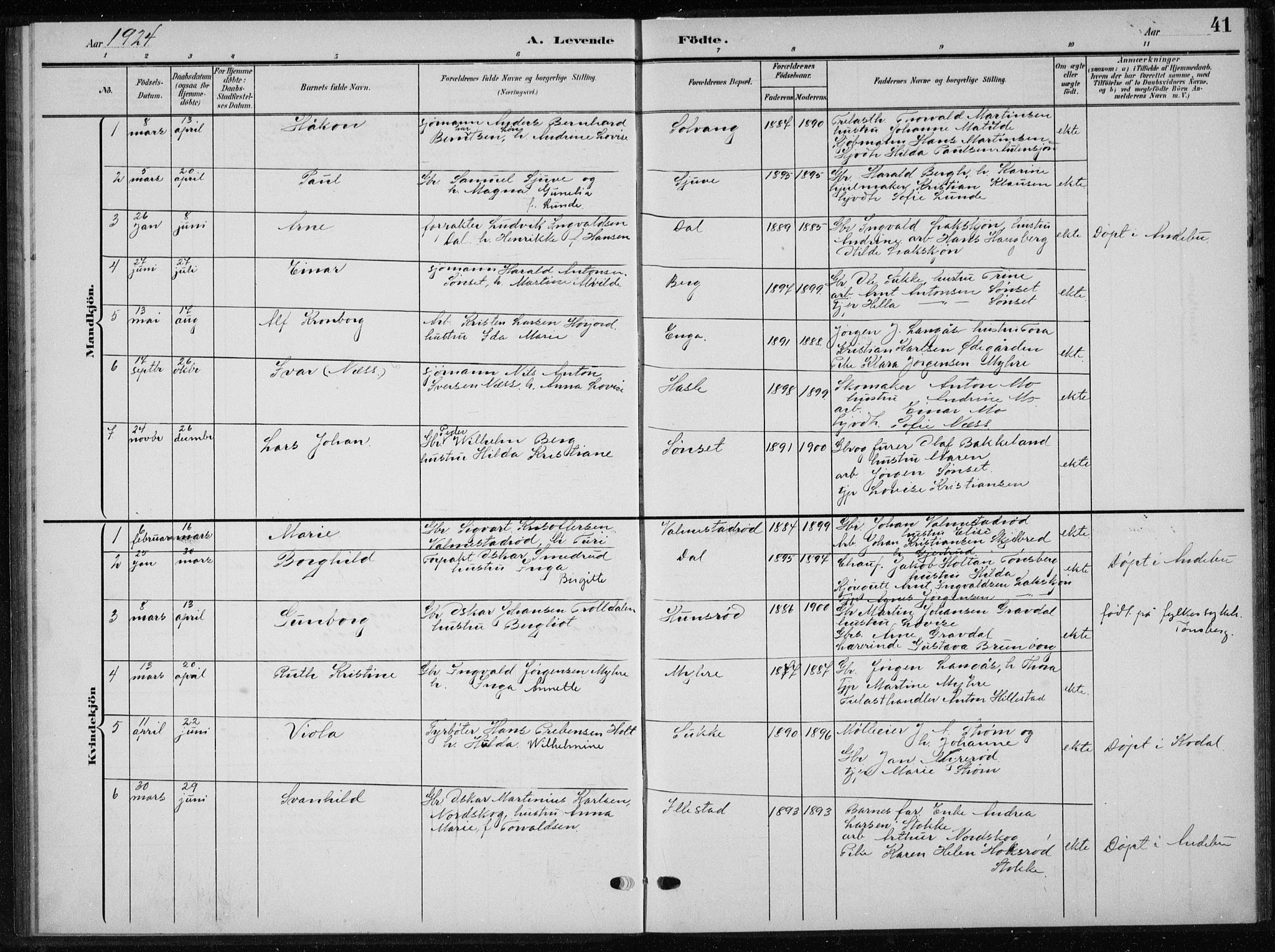 Andebu kirkebøker, AV/SAKO-A-336/G/Gb/L0001: Parish register (copy) no. II 1, 1901-1936, p. 41