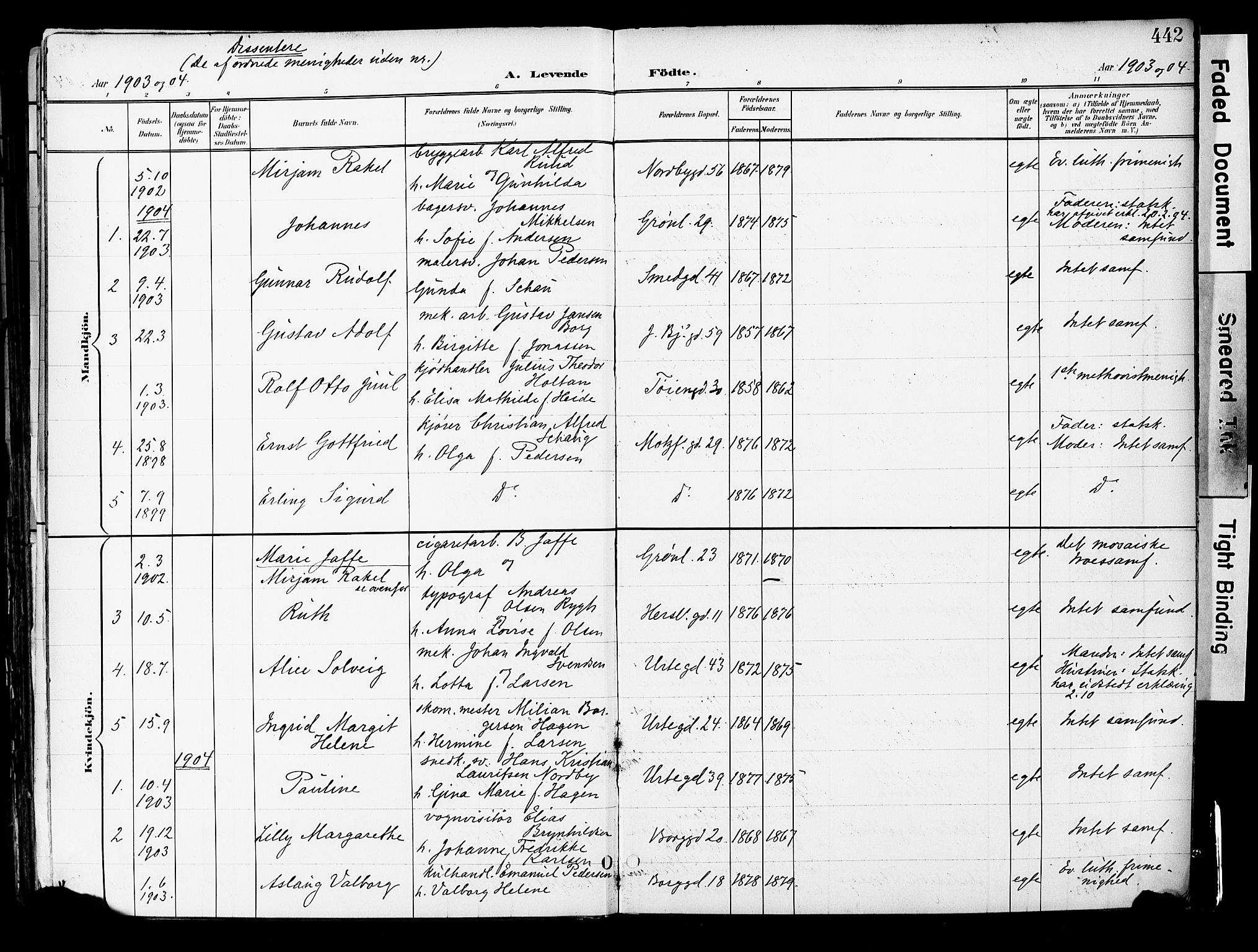 Grønland prestekontor Kirkebøker, AV/SAO-A-10848/F/Fa/L0014: Parish register (official) no. 14, 1900-1911, p. 442