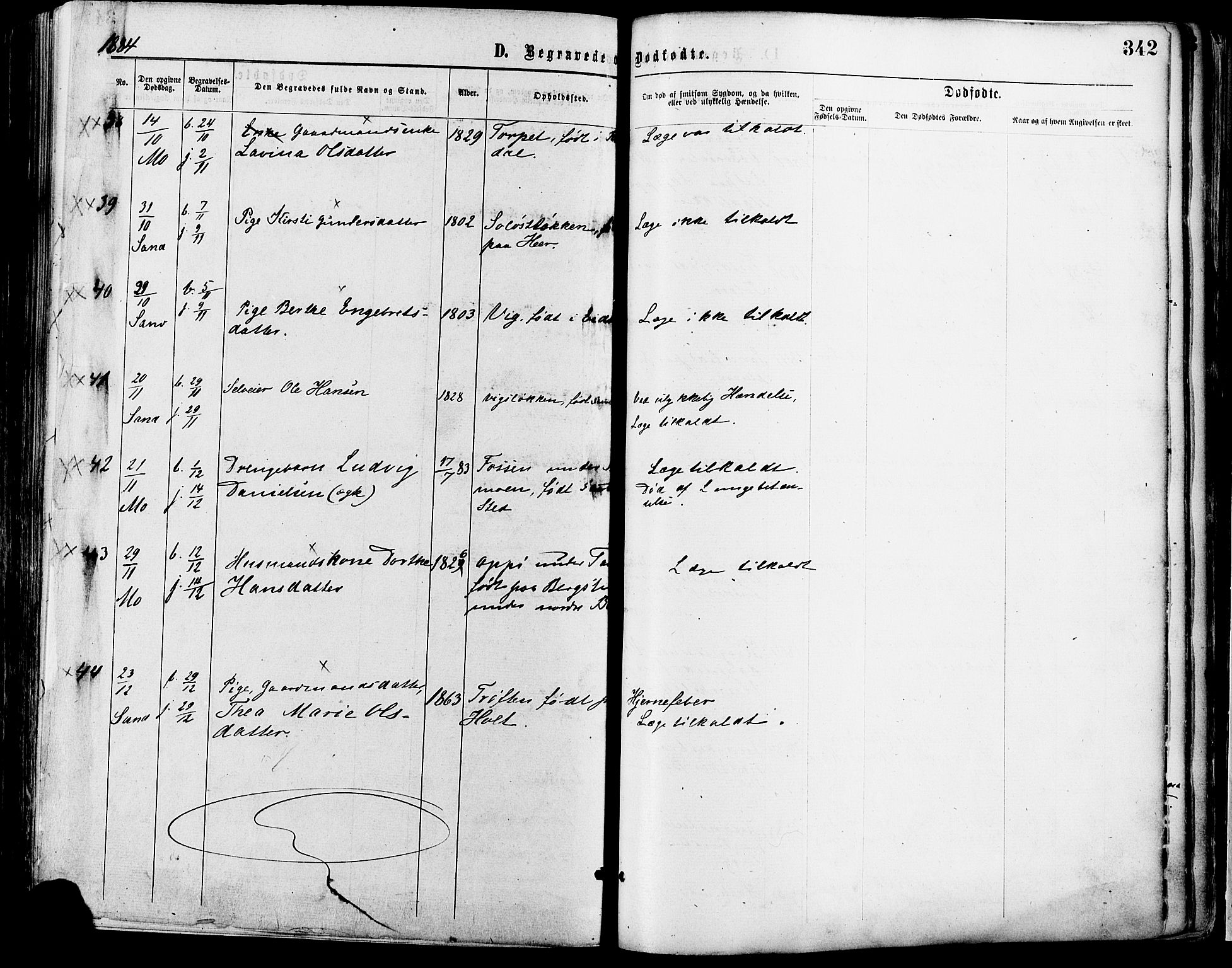 Nord-Odal prestekontor, AV/SAH-PREST-032/H/Ha/Haa/L0005: Parish register (official) no. 5, 1874-1885, p. 342