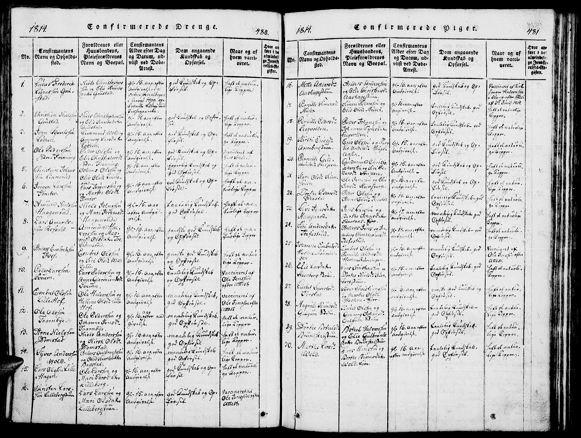 Romedal prestekontor, SAH/PREST-004/K/L0002: Parish register (official) no. 2, 1814-1828, p. 480-481