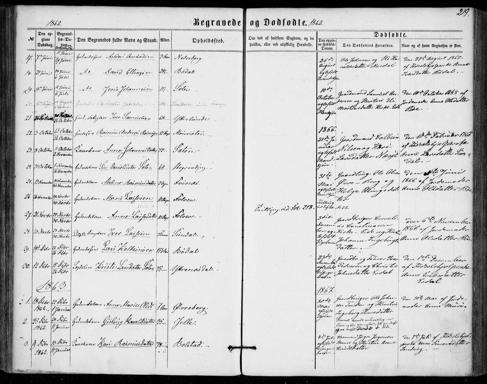 Stryn Sokneprestembete, SAB/A-82501: Parish register (official) no. A 3, 1862-1877, p. 219