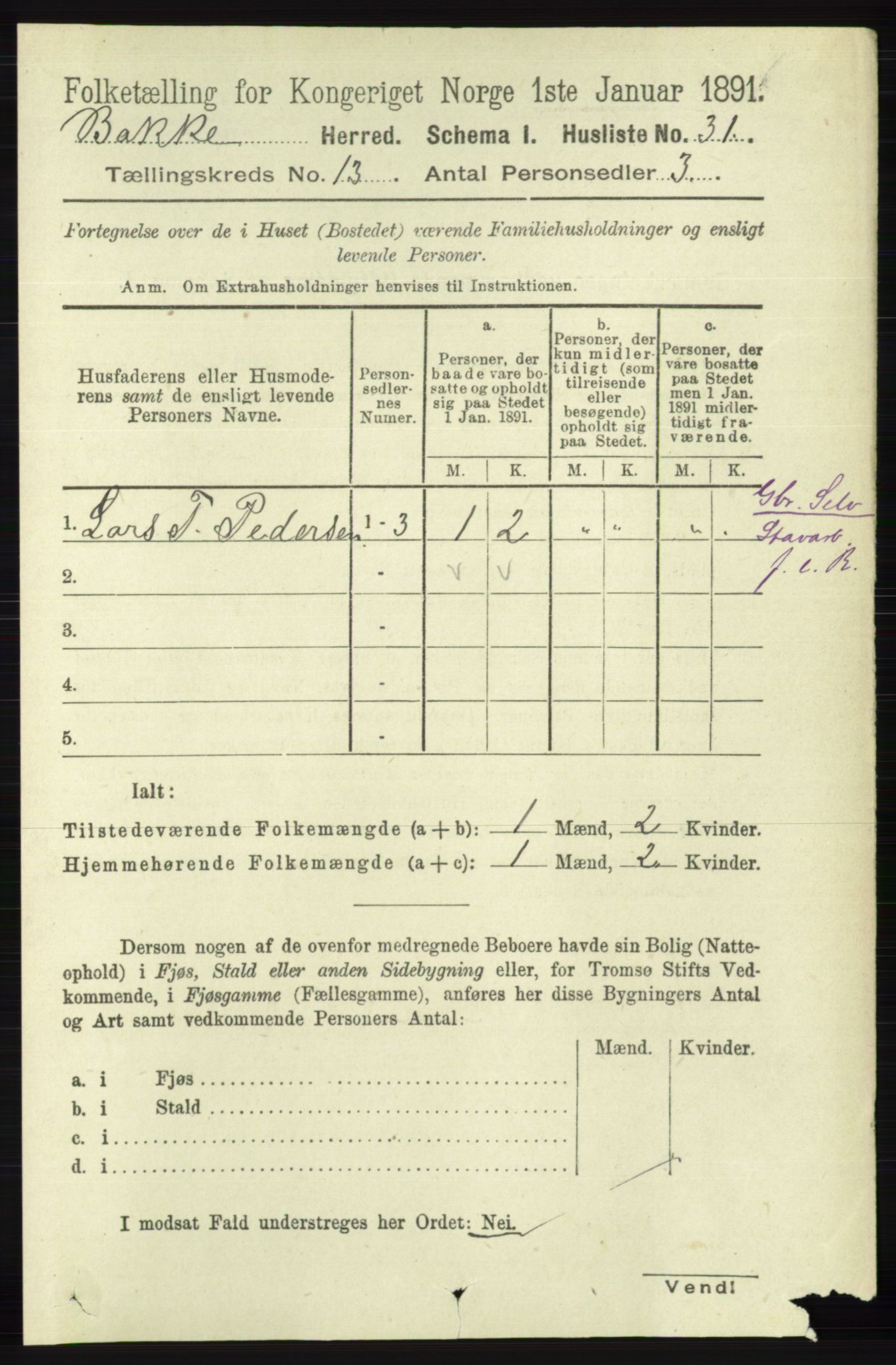 RA, 1891 census for 1045 Bakke, 1891, p. 2699