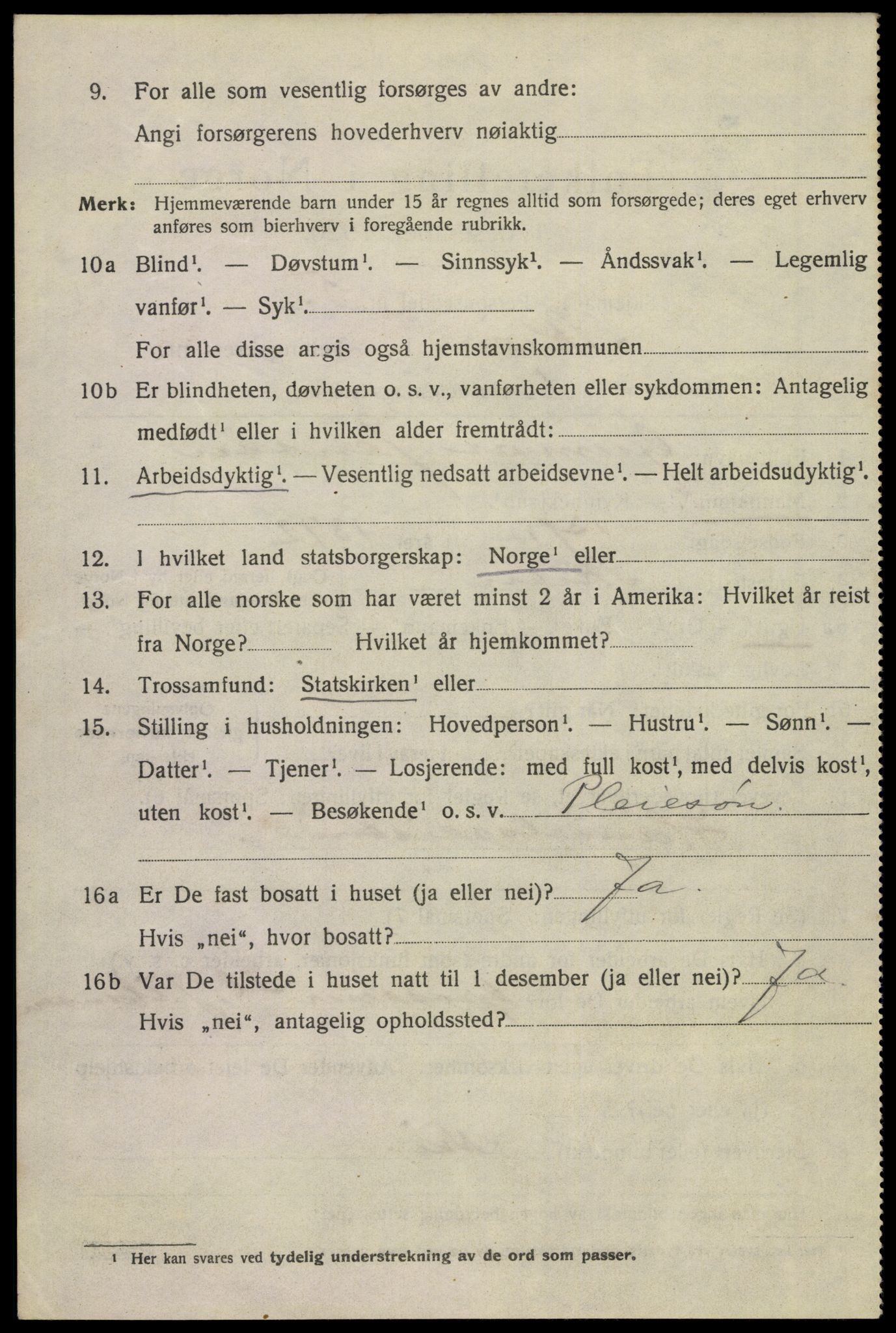 SAKO, 1920 census for Skien, 1920, p. 41025