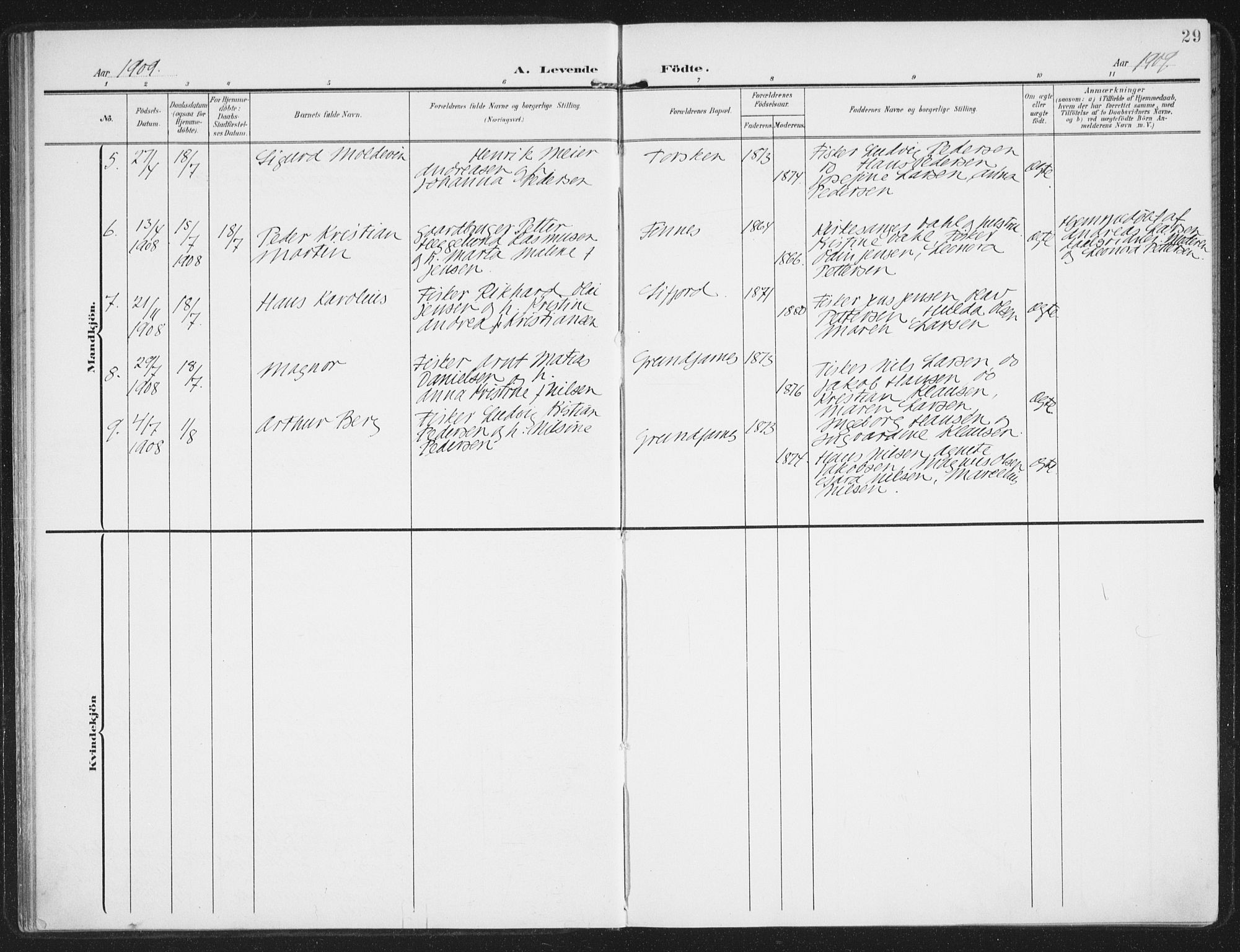 Berg sokneprestkontor, AV/SATØ-S-1318/G/Ga/Gaa/L0008kirke: Parish register (official) no. 8, 1904-1916, p. 29