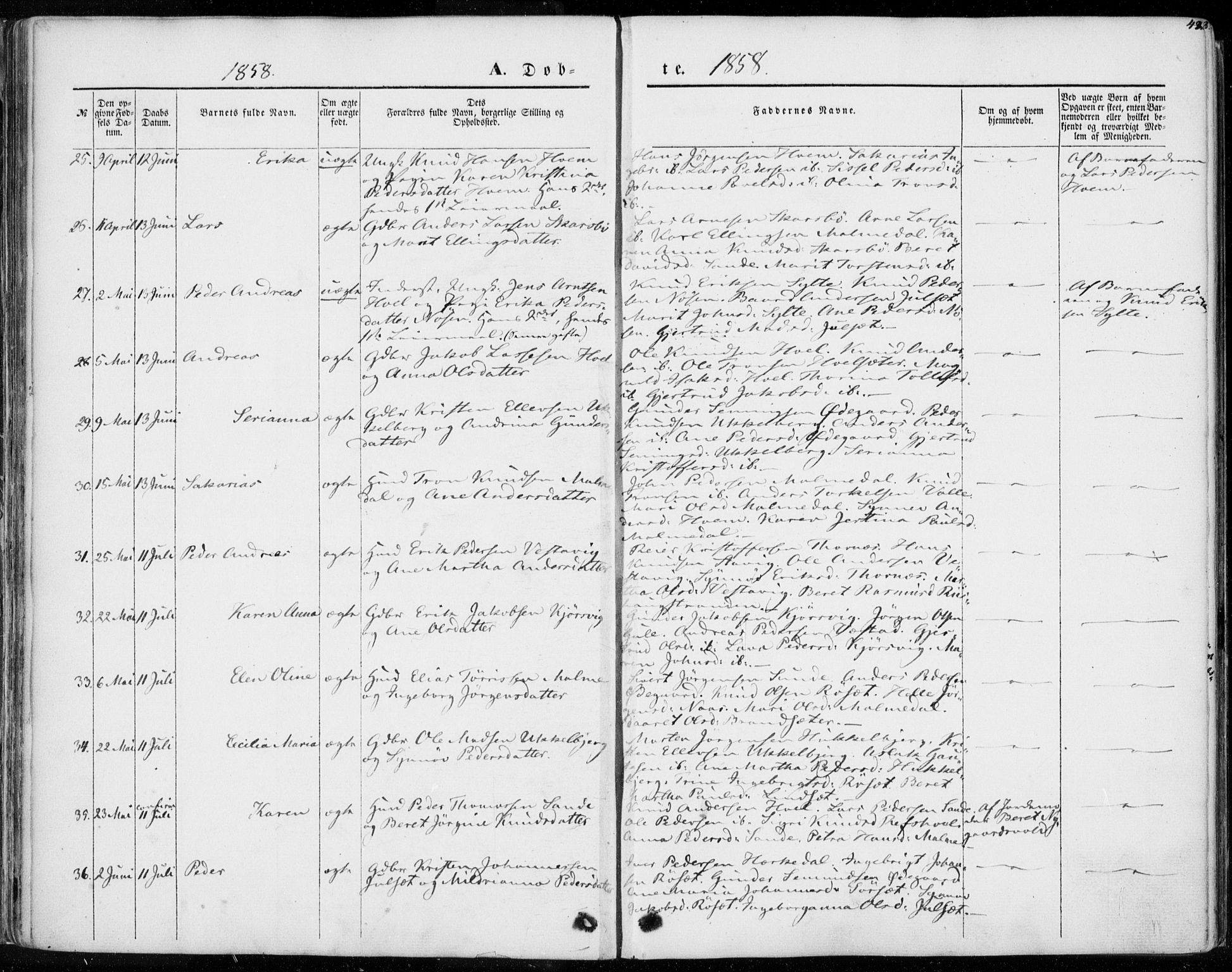 Ministerialprotokoller, klokkerbøker og fødselsregistre - Møre og Romsdal, AV/SAT-A-1454/565/L0748: Parish register (official) no. 565A02, 1845-1872, p. 42