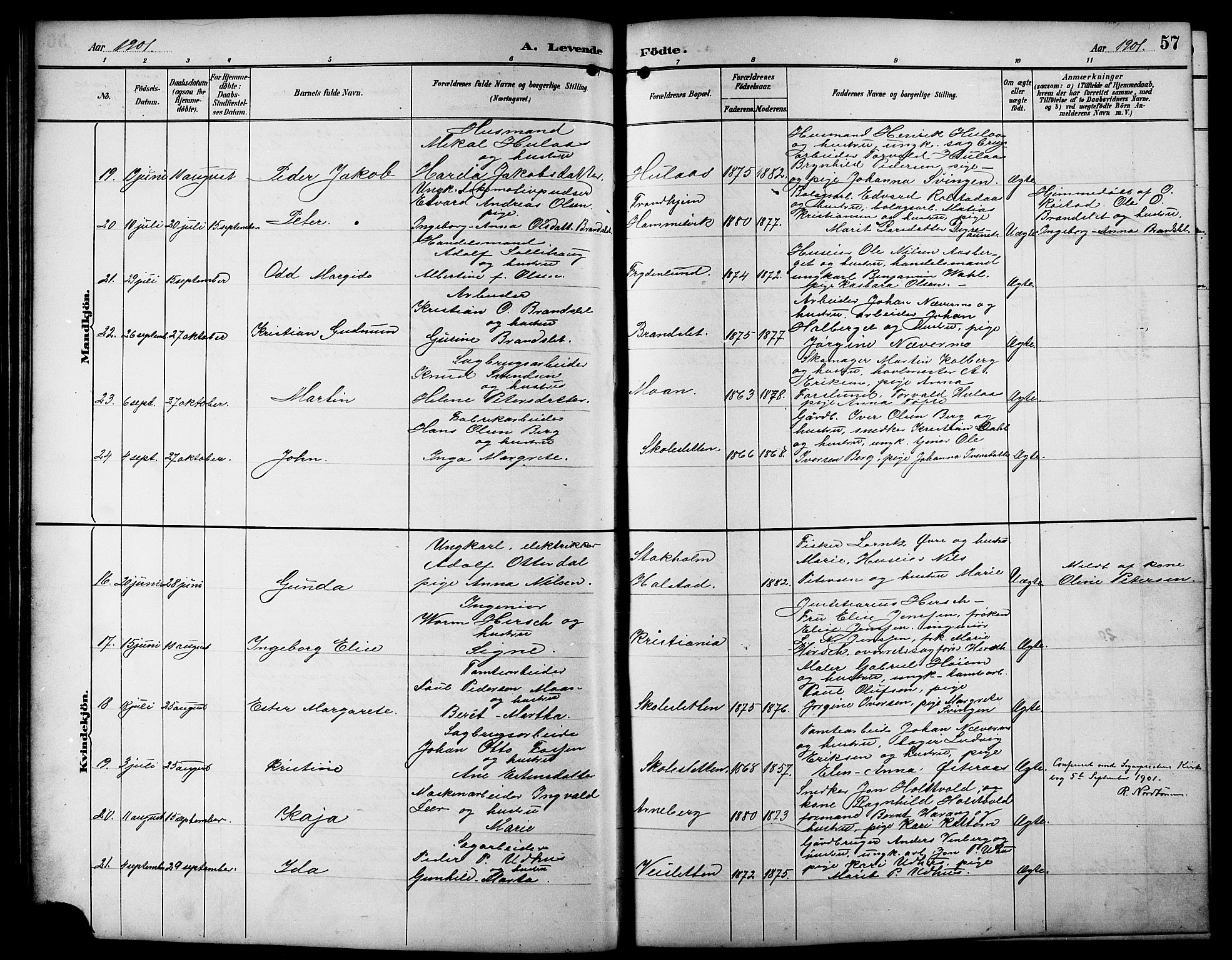Ministerialprotokoller, klokkerbøker og fødselsregistre - Sør-Trøndelag, SAT/A-1456/617/L0431: Parish register (copy) no. 617C01, 1889-1910, p. 57