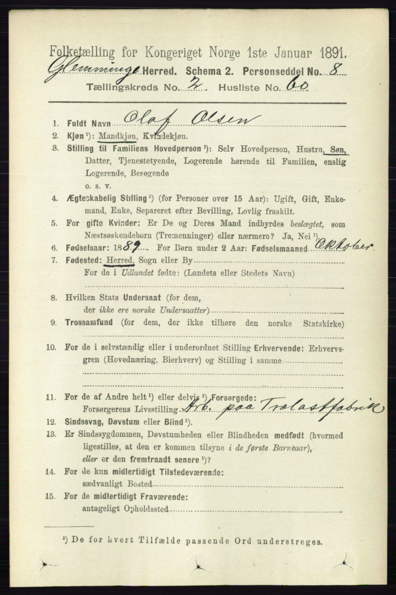 RA, 1891 census for 0132 Glemmen, 1891, p. 1036