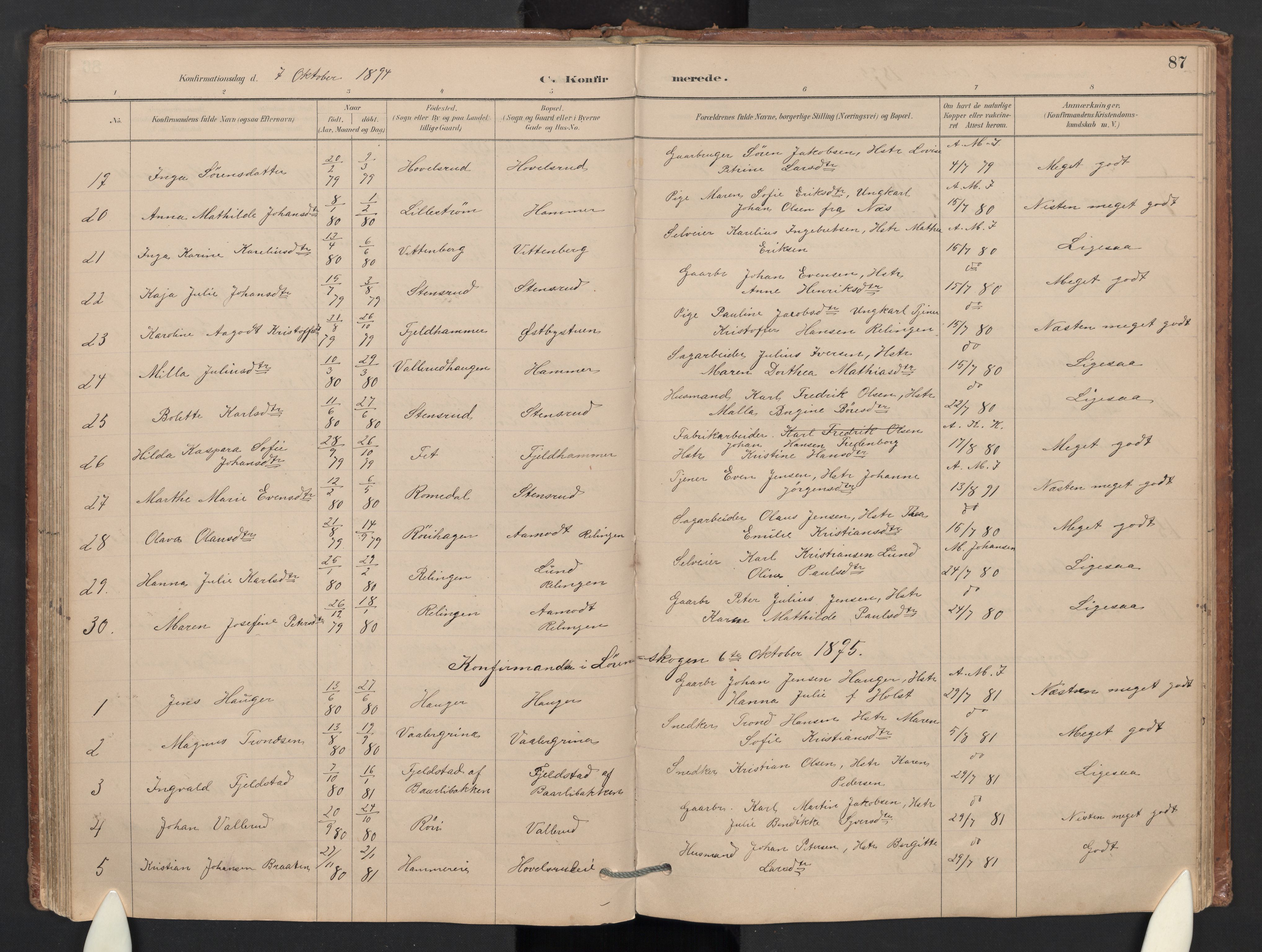 Skedsmo prestekontor Kirkebøker, SAO/A-10033a/G/Gb/L0001: Parish register (copy) no. II 1, 1883-1903, p. 87