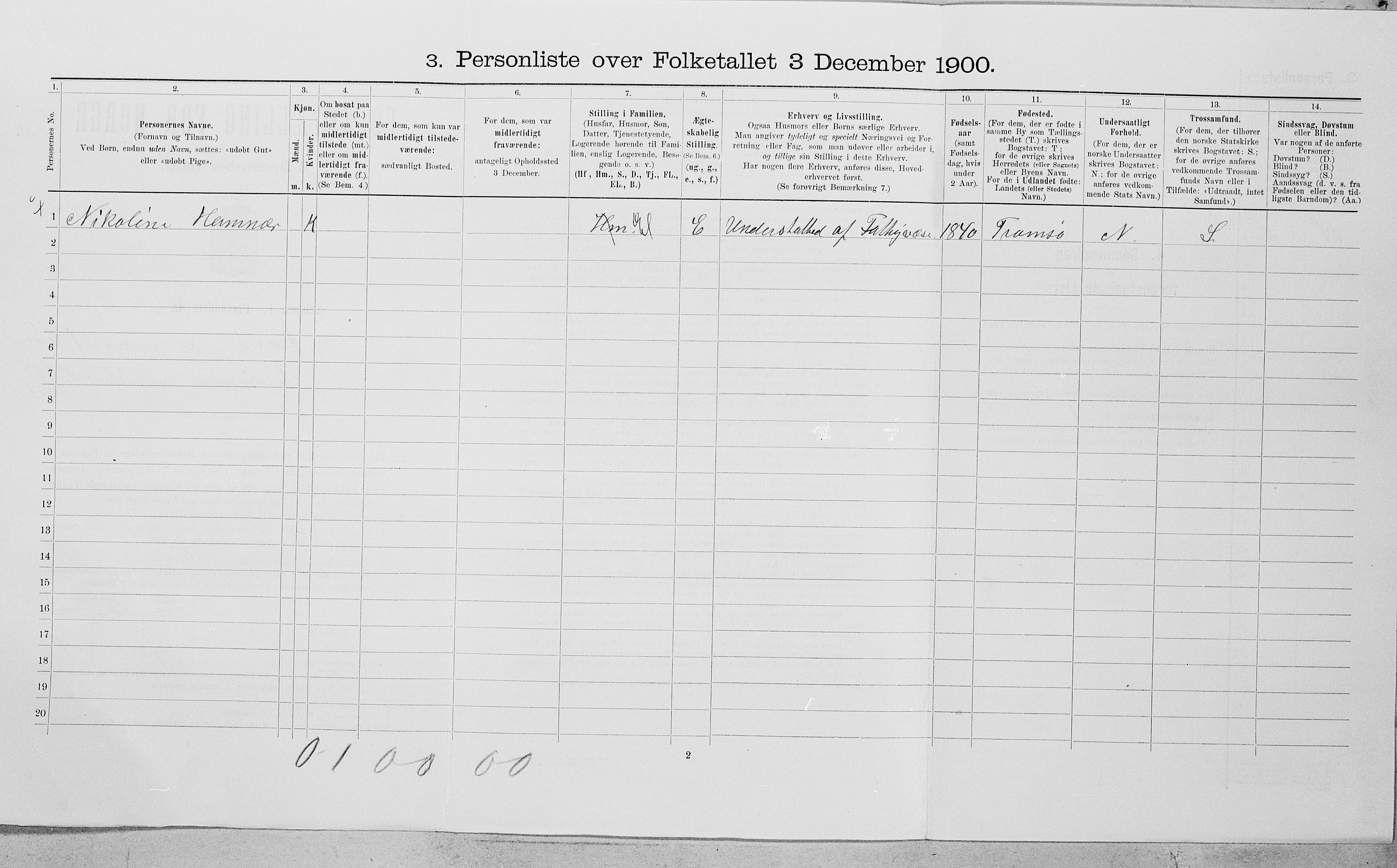 SAT, 1900 census for Bodø, 1900, p. 203
