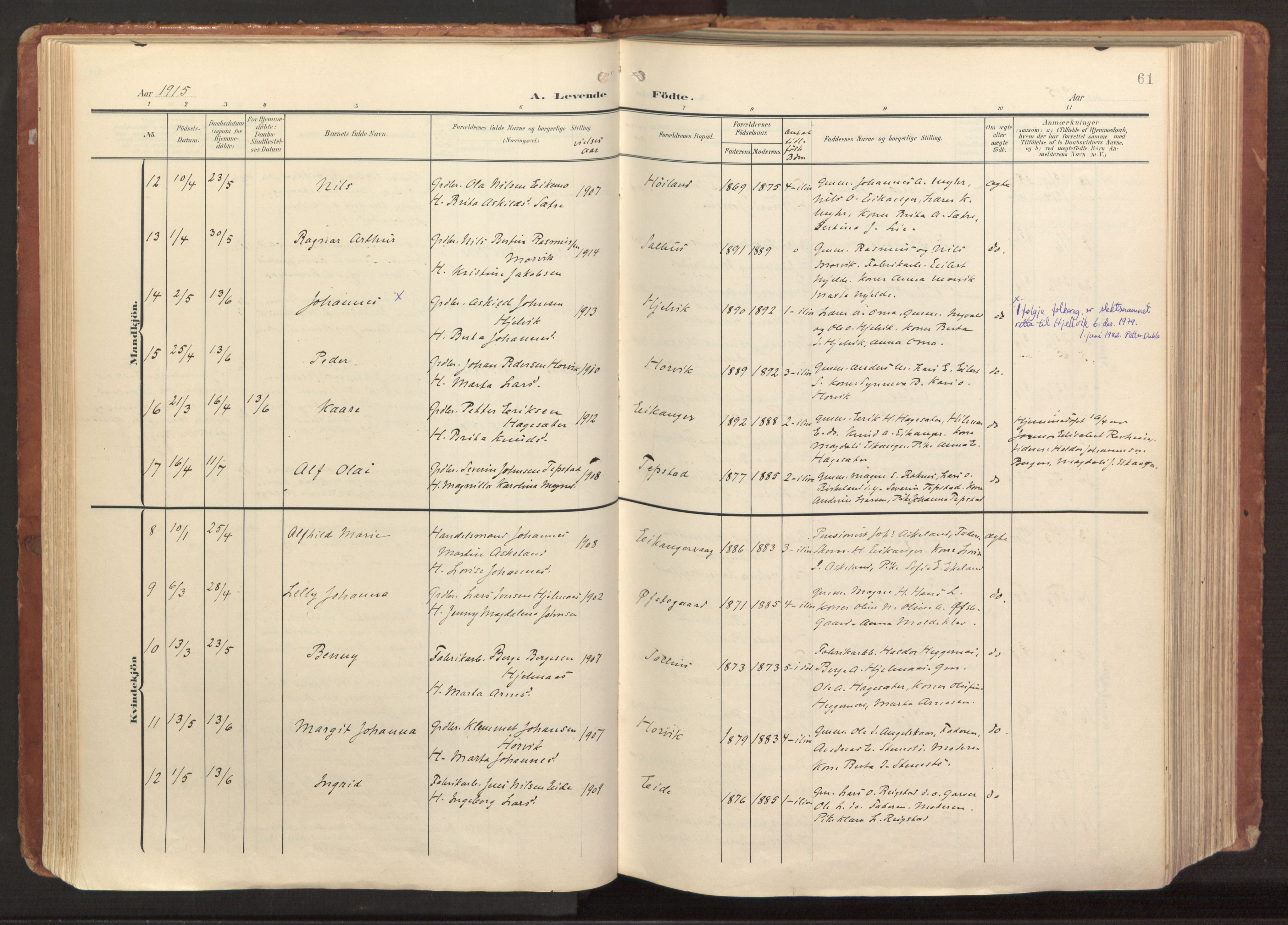 Hamre sokneprestembete, AV/SAB-A-75501/H/Ha/Haa/Haab/L0002: Parish register (official) no. B 2, 1905-1924, p. 61