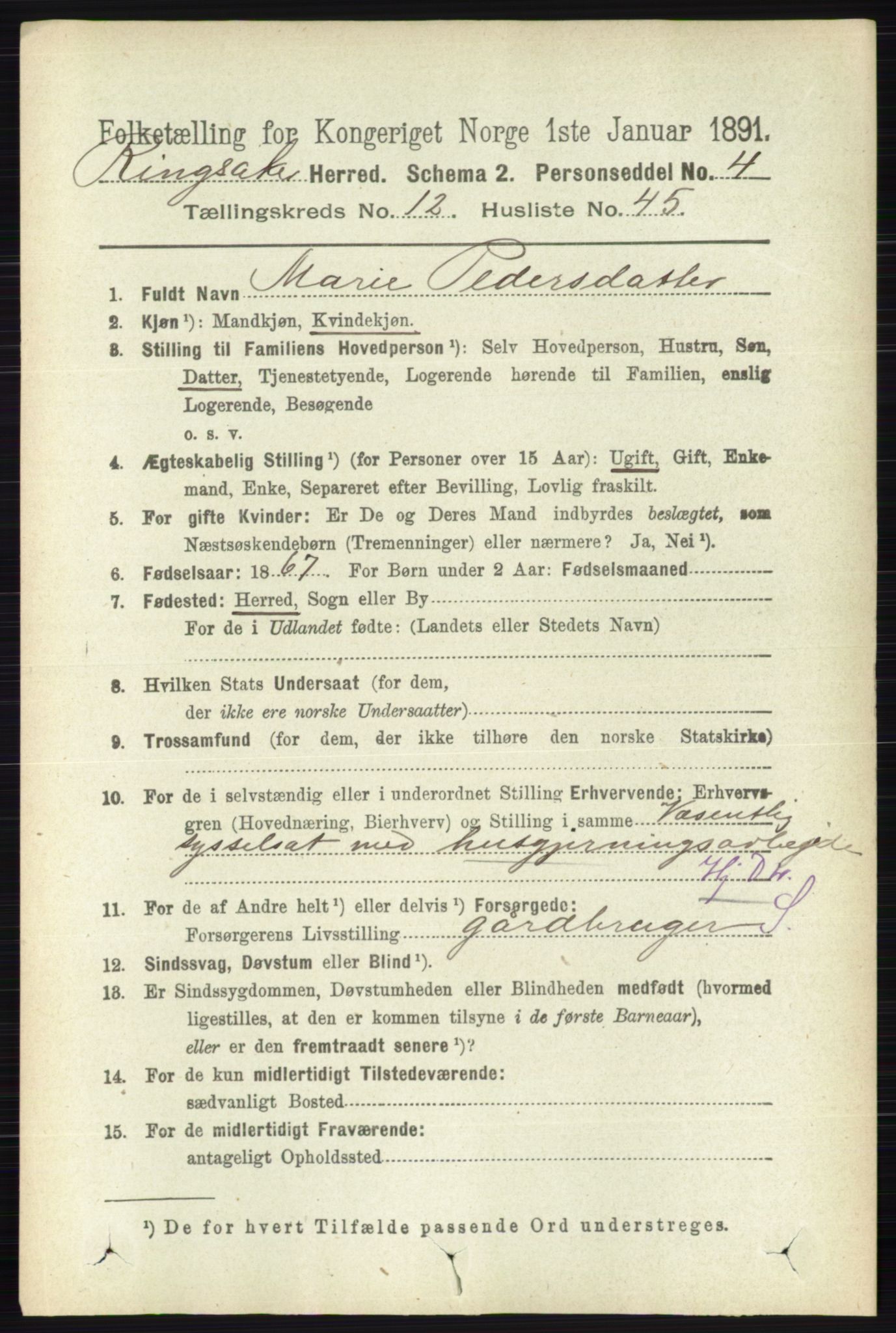 RA, 1891 census for 0412 Ringsaker, 1891, p. 7007