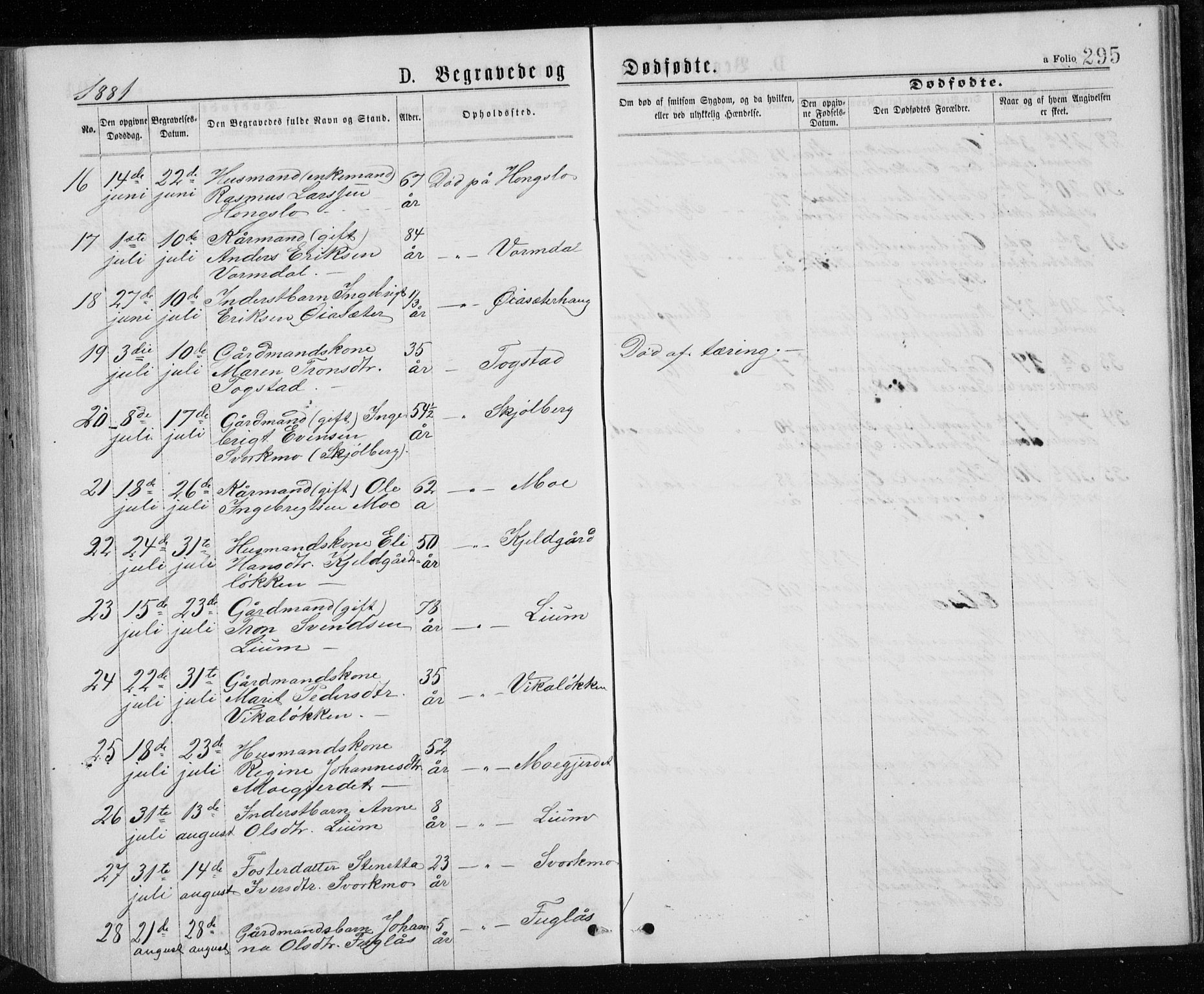 Ministerialprotokoller, klokkerbøker og fødselsregistre - Sør-Trøndelag, AV/SAT-A-1456/671/L0843: Parish register (copy) no. 671C02, 1873-1892, p. 295