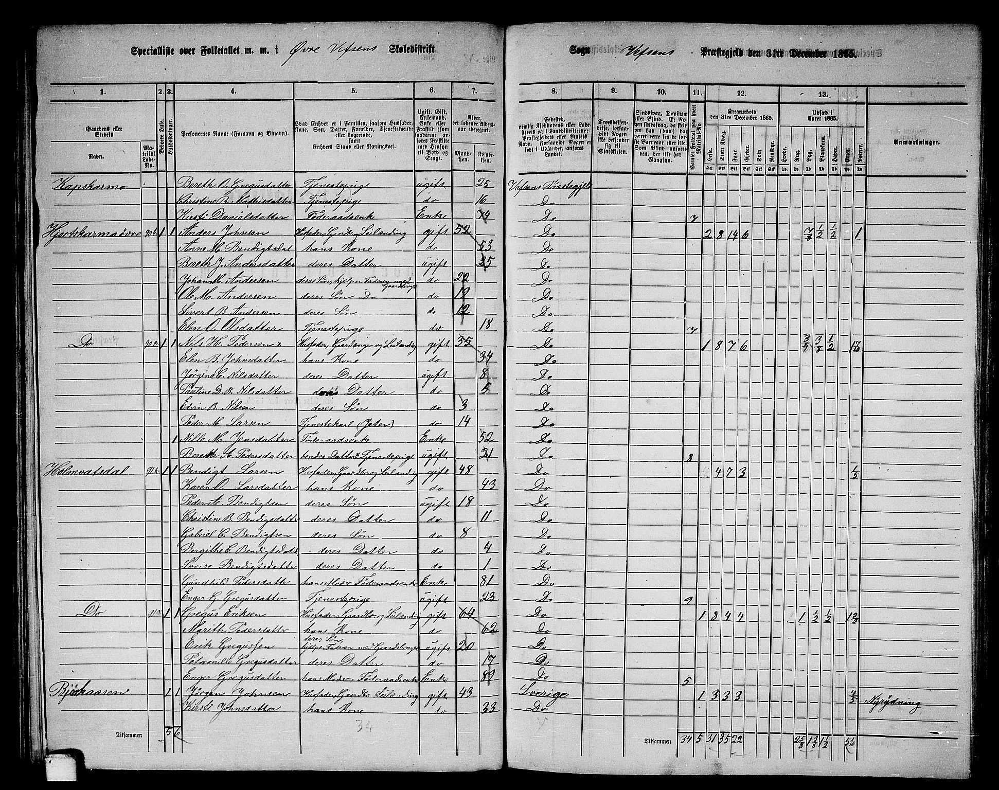 RA, 1865 census for Vefsn, 1865, p. 113