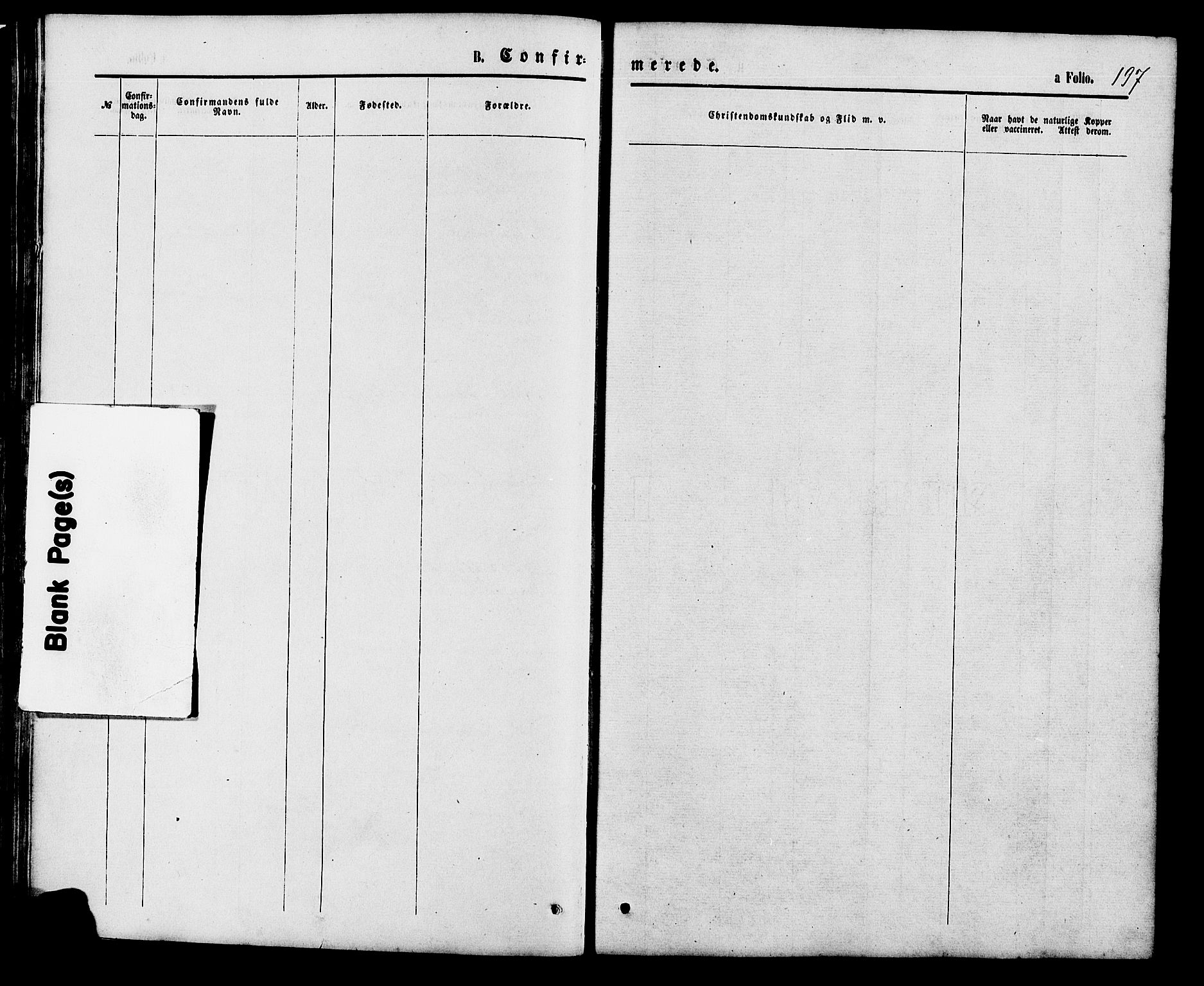 Holum sokneprestkontor, SAK/1111-0022/F/Fb/Fba/L0004: Parish register (copy) no. B 4, 1867-1890, p. 197