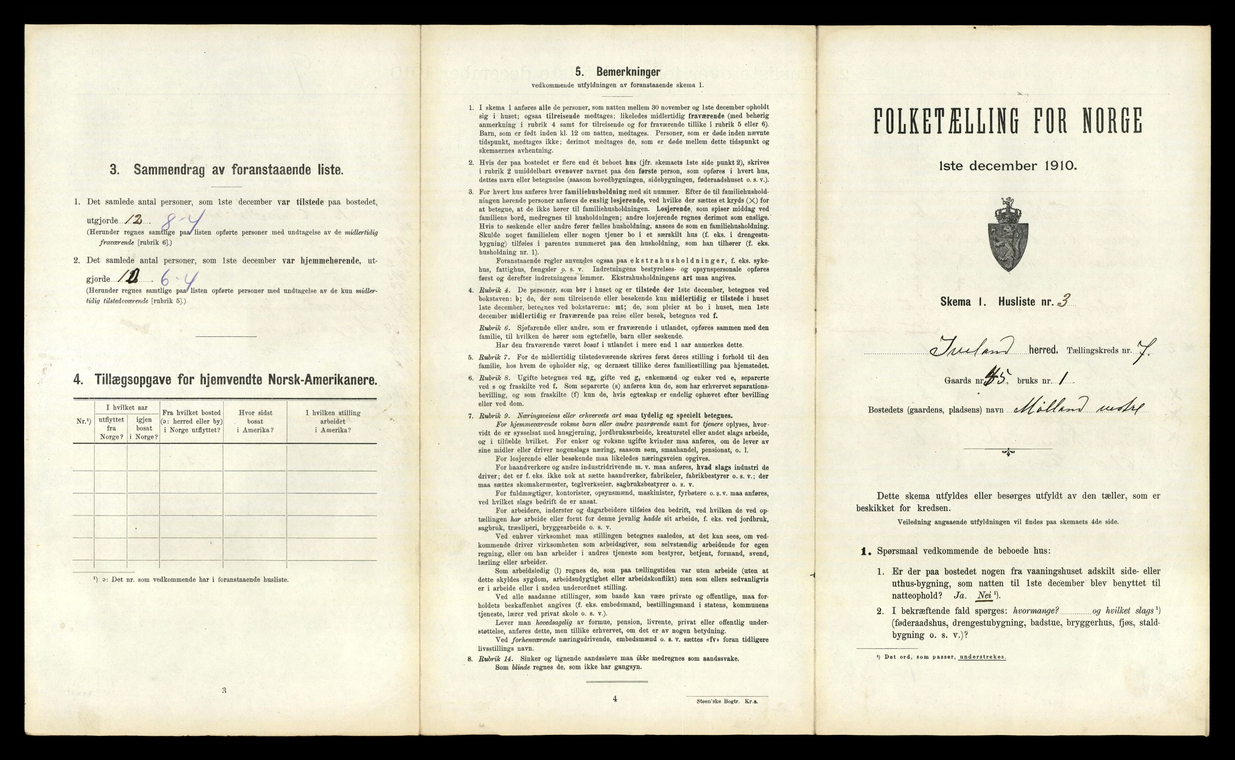 RA, 1910 census for Iveland, 1910, p. 311