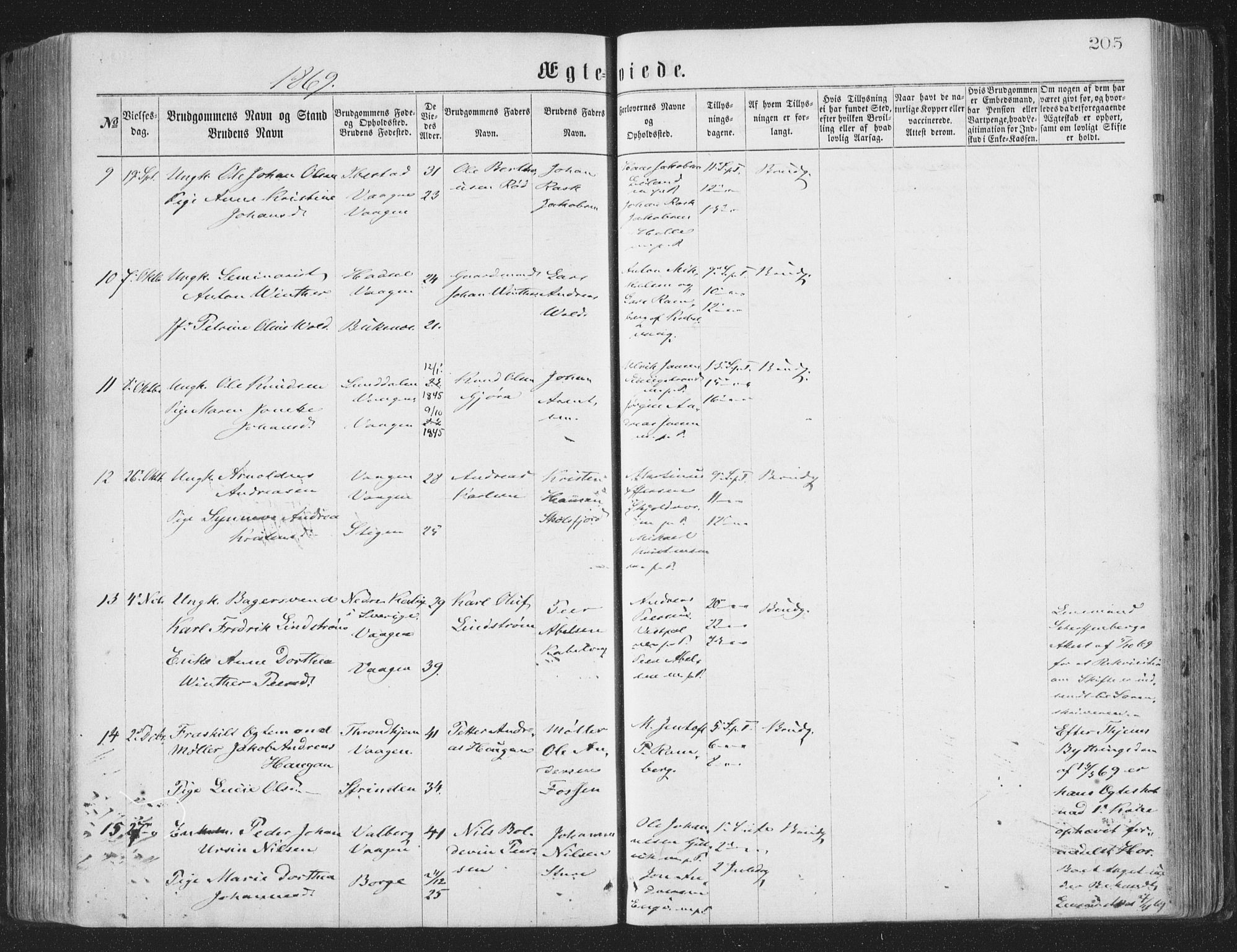 Ministerialprotokoller, klokkerbøker og fødselsregistre - Nordland, AV/SAT-A-1459/874/L1057: Parish register (official) no. 874A01, 1866-1877, p. 205