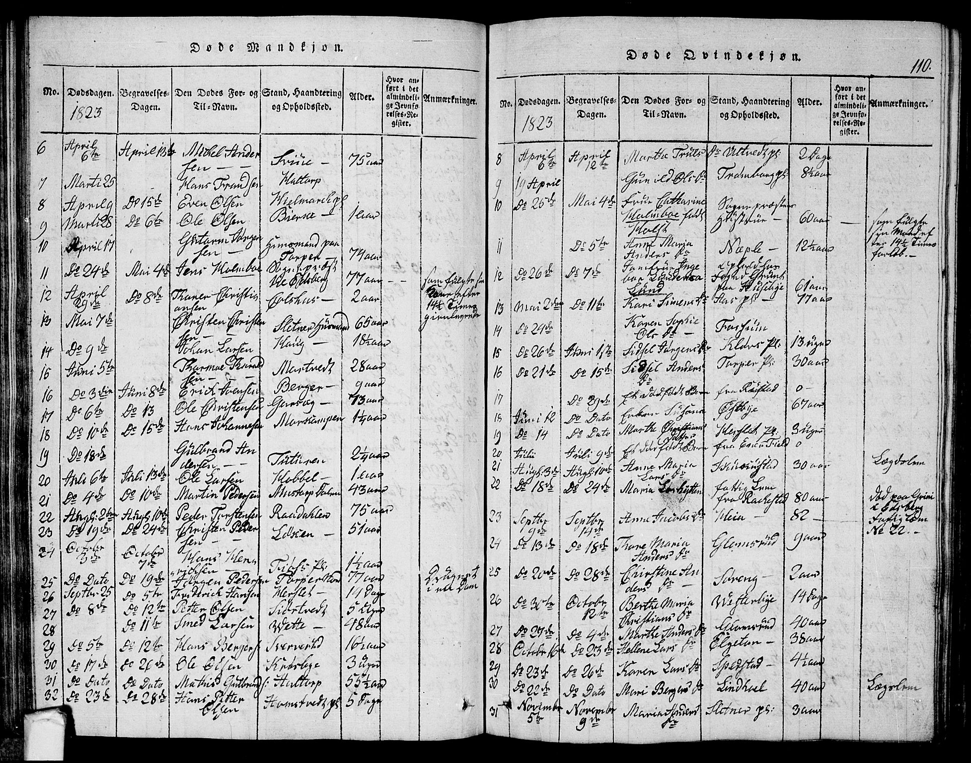 Eidsberg prestekontor Kirkebøker, AV/SAO-A-10905/G/Ga/L0001: Parish register (copy) no. I 1, 1814-1831, p. 110