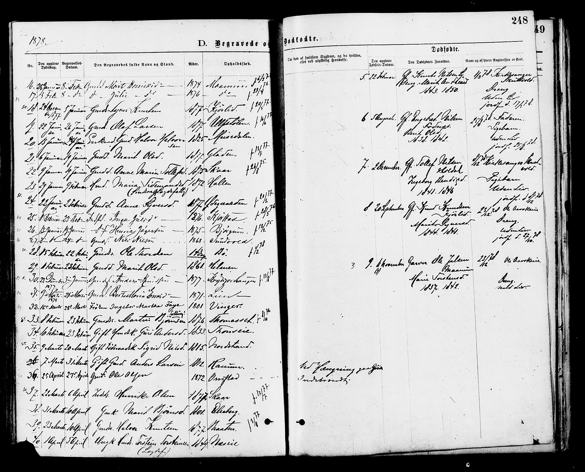 Nord-Aurdal prestekontor, SAH/PREST-132/H/Ha/Haa/L0009: Parish register (official) no. 9, 1876-1882, p. 248