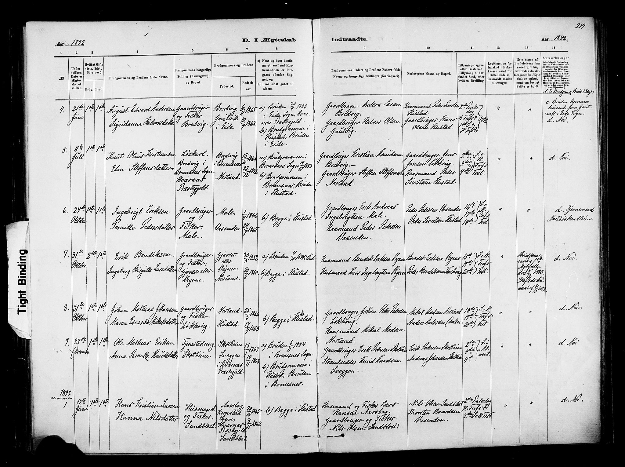 Ministerialprotokoller, klokkerbøker og fødselsregistre - Møre og Romsdal, AV/SAT-A-1454/567/L0778: Parish register (official) no. 567A01, 1881-1903, p. 219