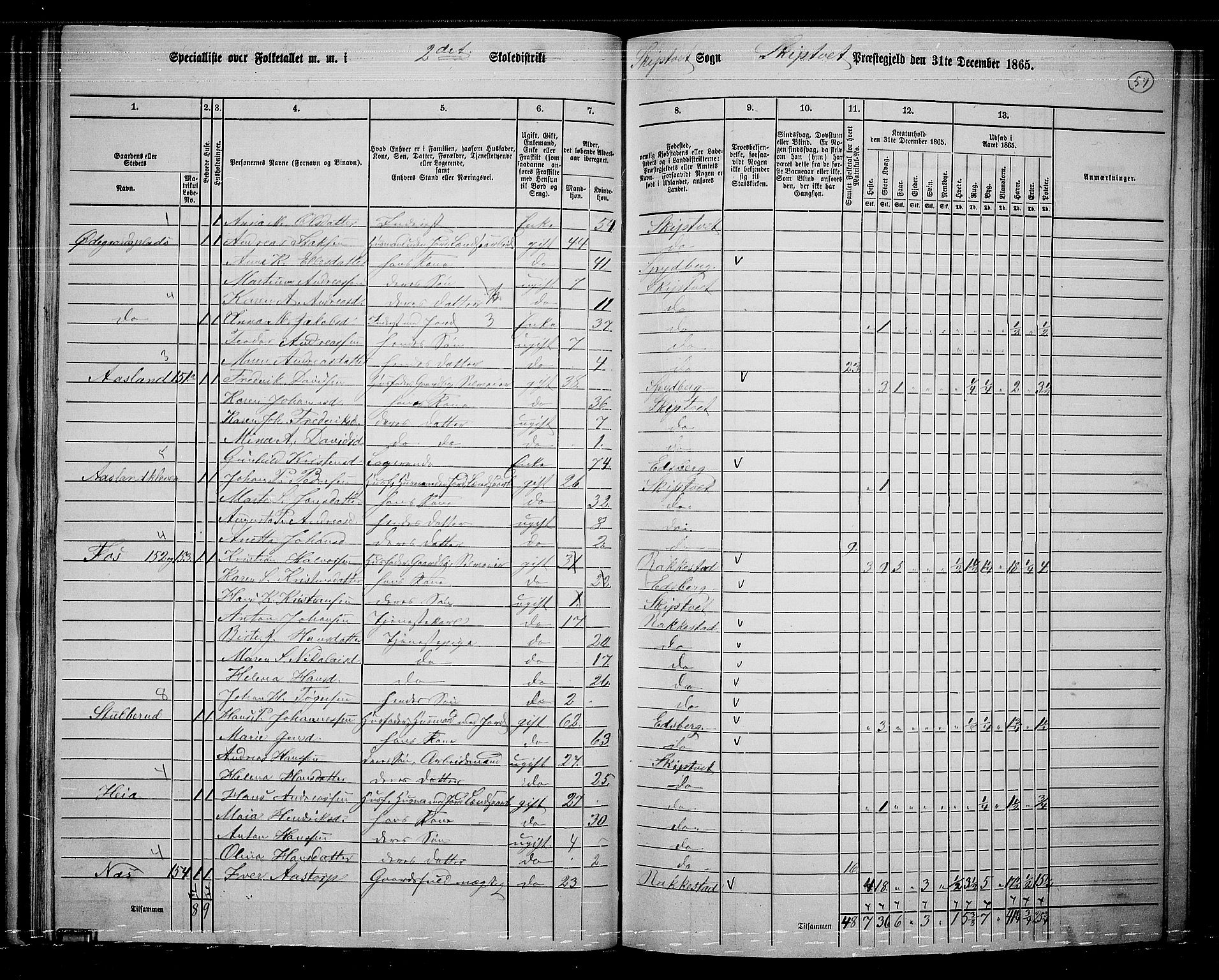 RA, 1865 census for Skiptvet, 1865, p. 50