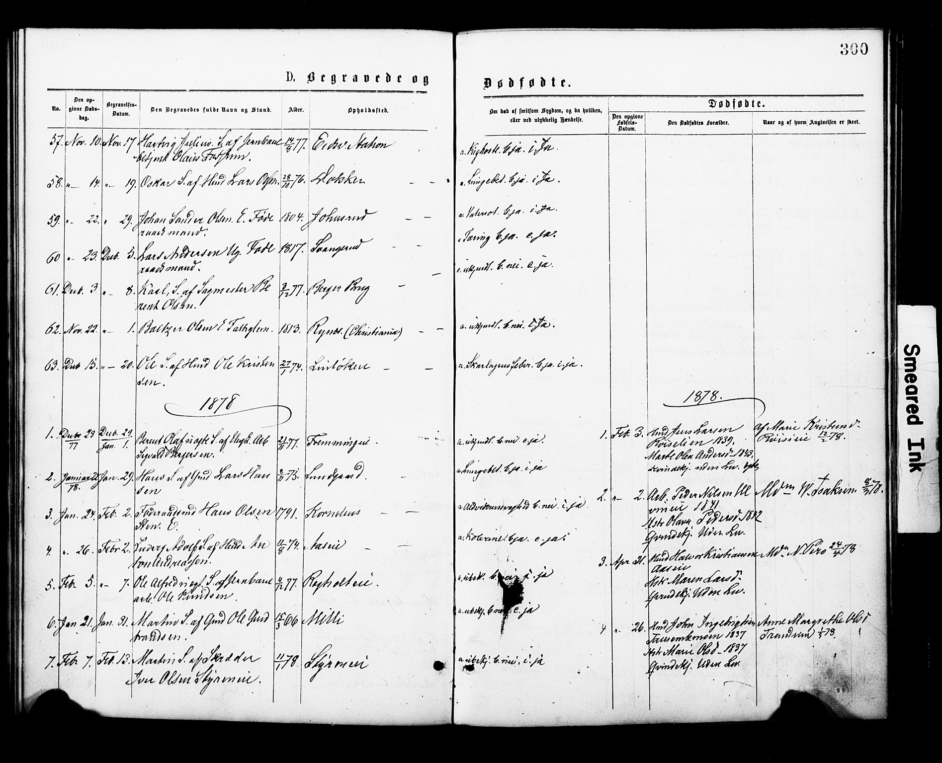 Eidsvoll prestekontor Kirkebøker, SAO/A-10888/F/Fa/L0001: Parish register (official) no. I 1, 1877-1881, p. 300