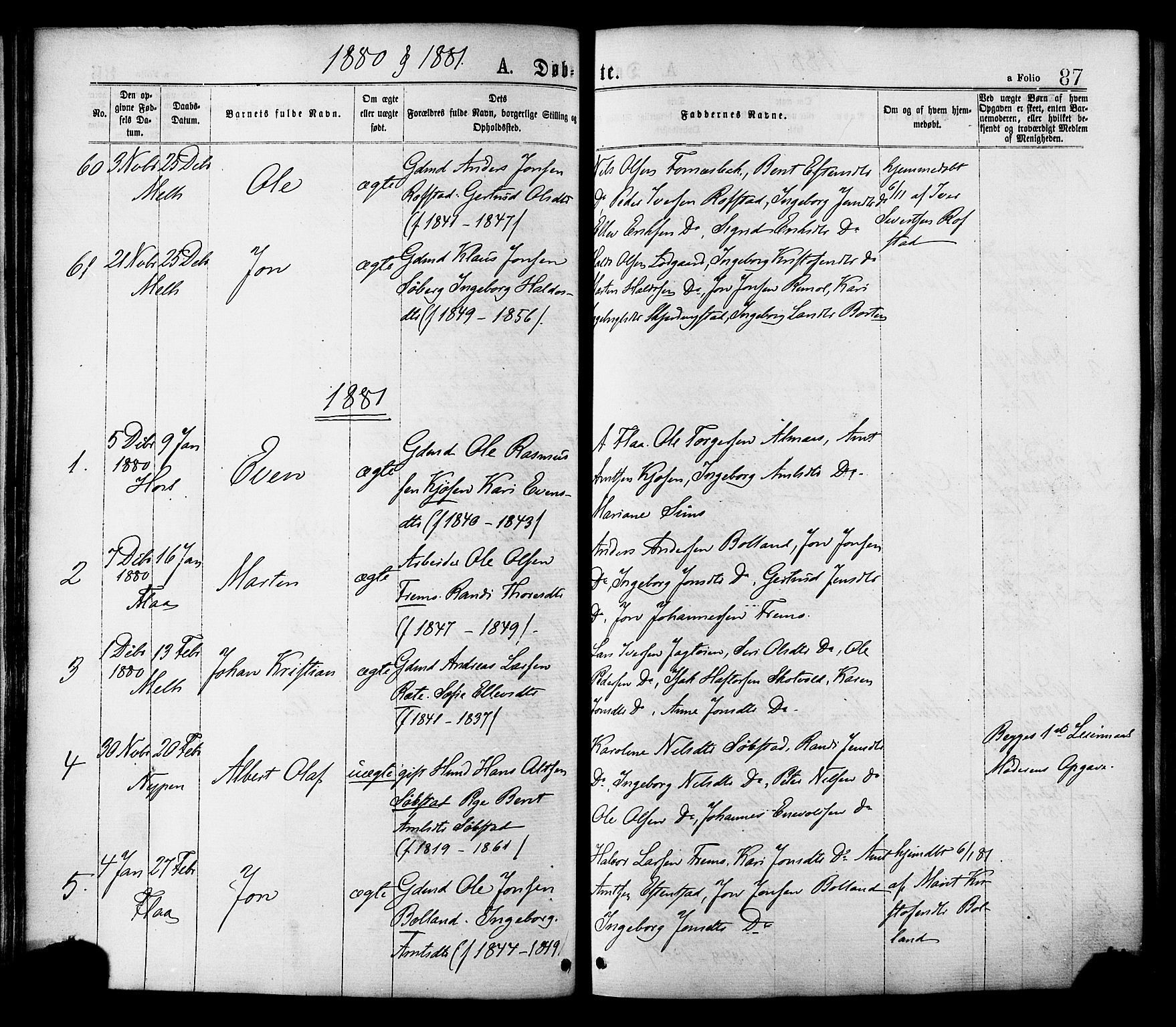 Ministerialprotokoller, klokkerbøker og fødselsregistre - Sør-Trøndelag, AV/SAT-A-1456/691/L1079: Parish register (official) no. 691A11, 1873-1886, p. 87