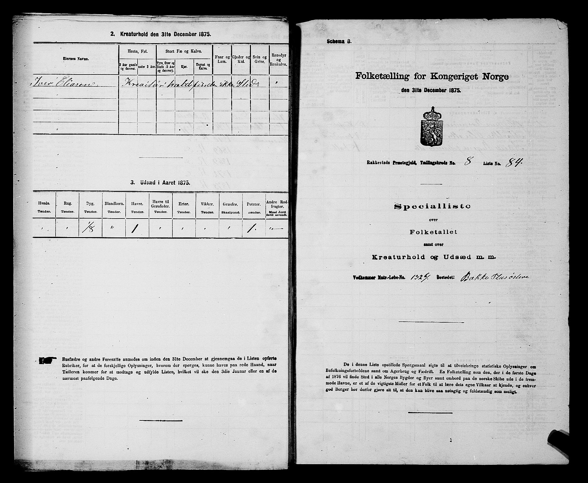 RA, 1875 census for 0128P Rakkestad, 1875, p. 1099