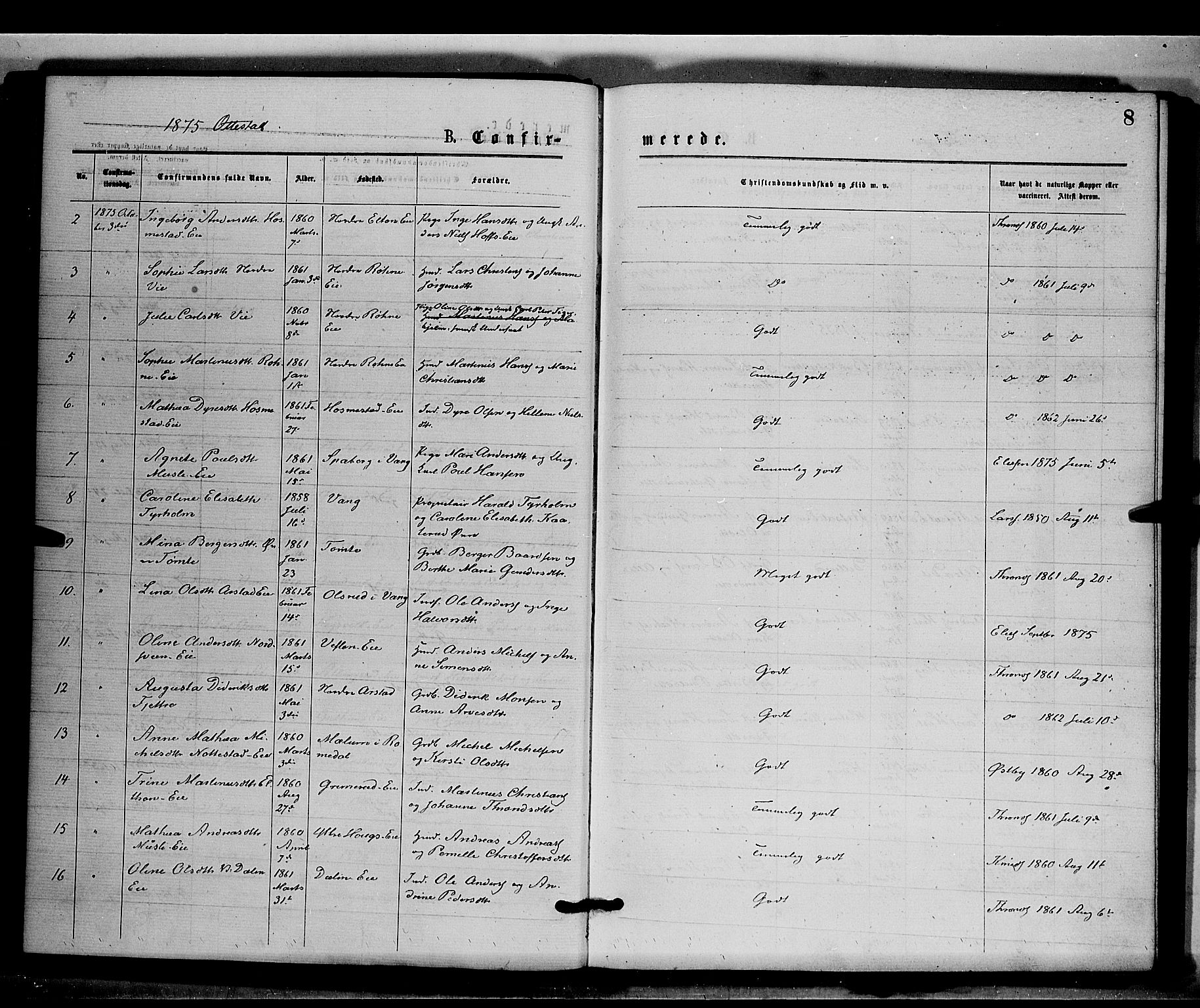 Stange prestekontor, SAH/PREST-002/K/L0016: Parish register (official) no. 16, 1874-1879, p. 8