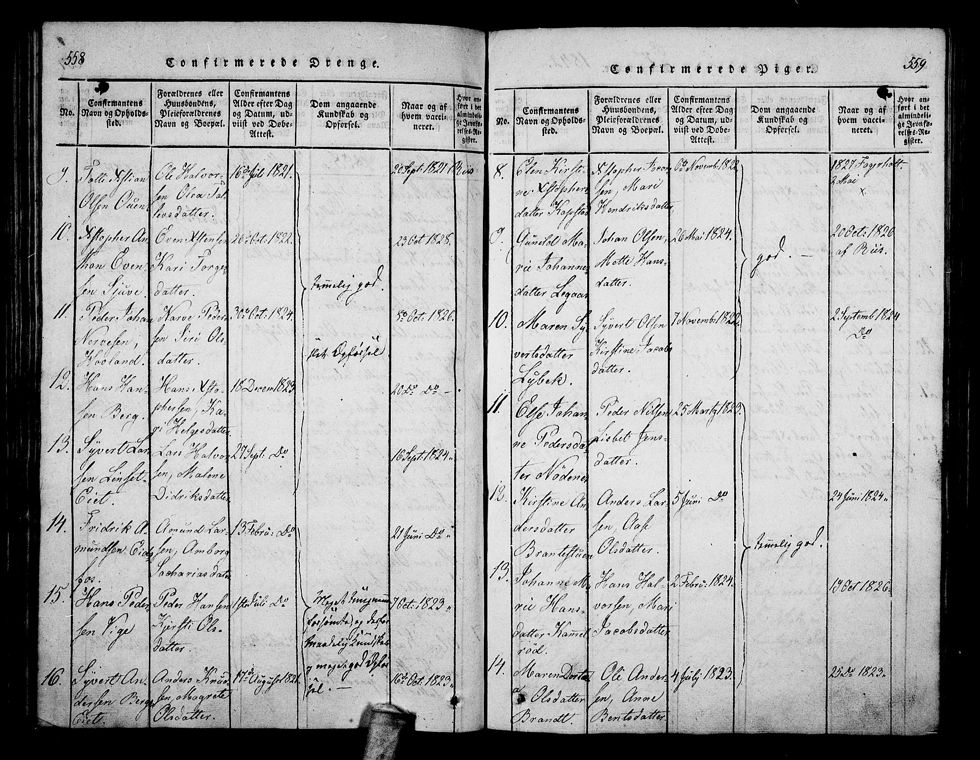 Hof kirkebøker, AV/SAKO-A-64/F/Fa/L0004: Parish register (official) no. I 4, 1814-1843, p. 558-559