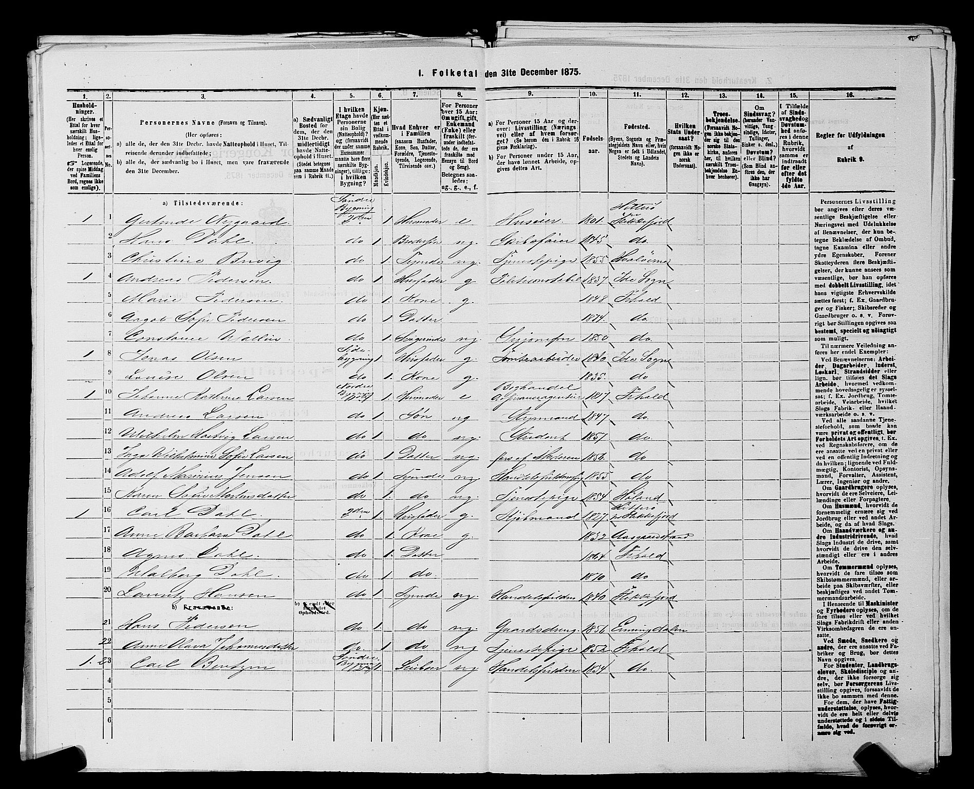 RA, 1875 census for 0101P Fredrikshald, 1875, p. 510