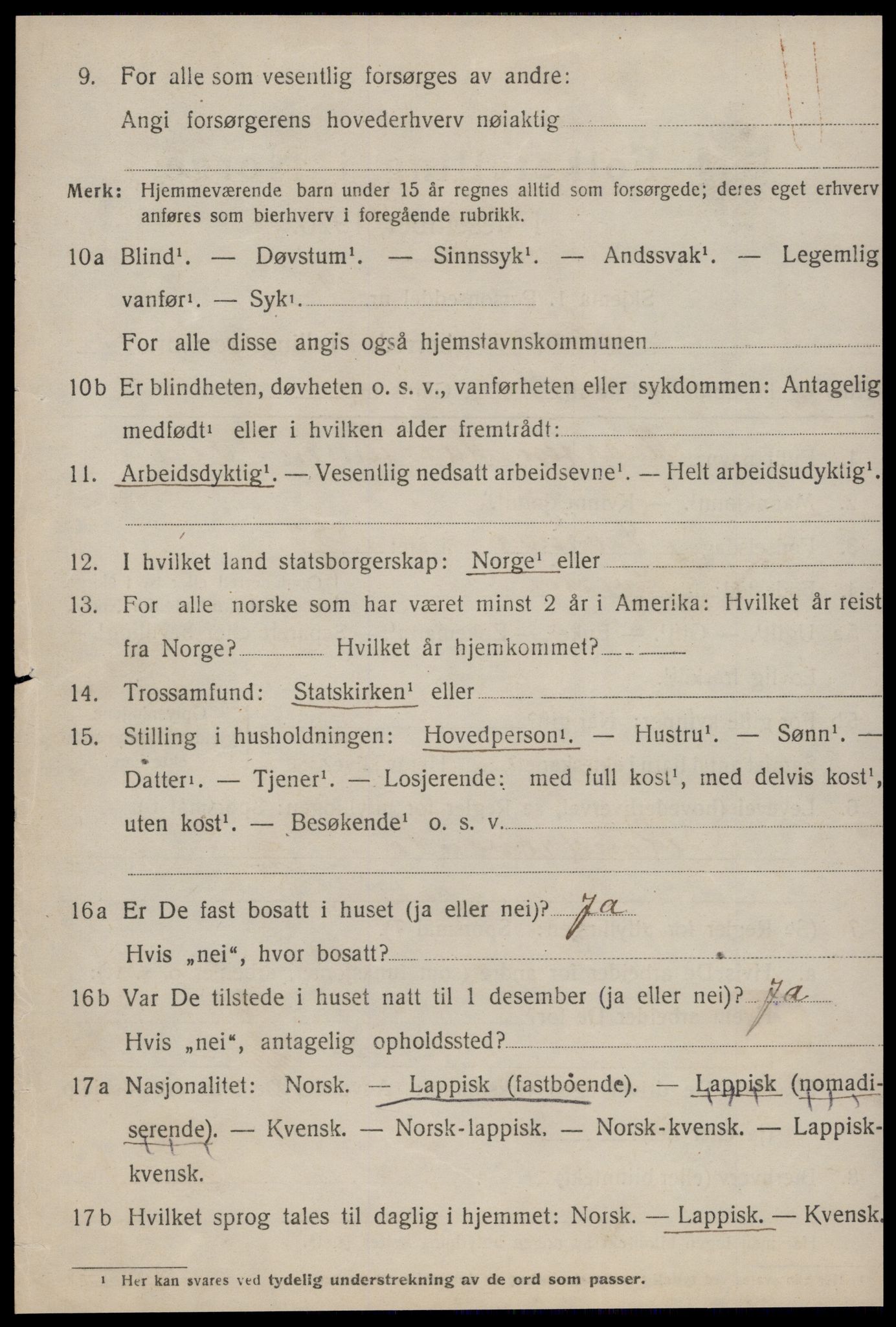 SAT, 1920 census for Røros, 1920, p. 10911