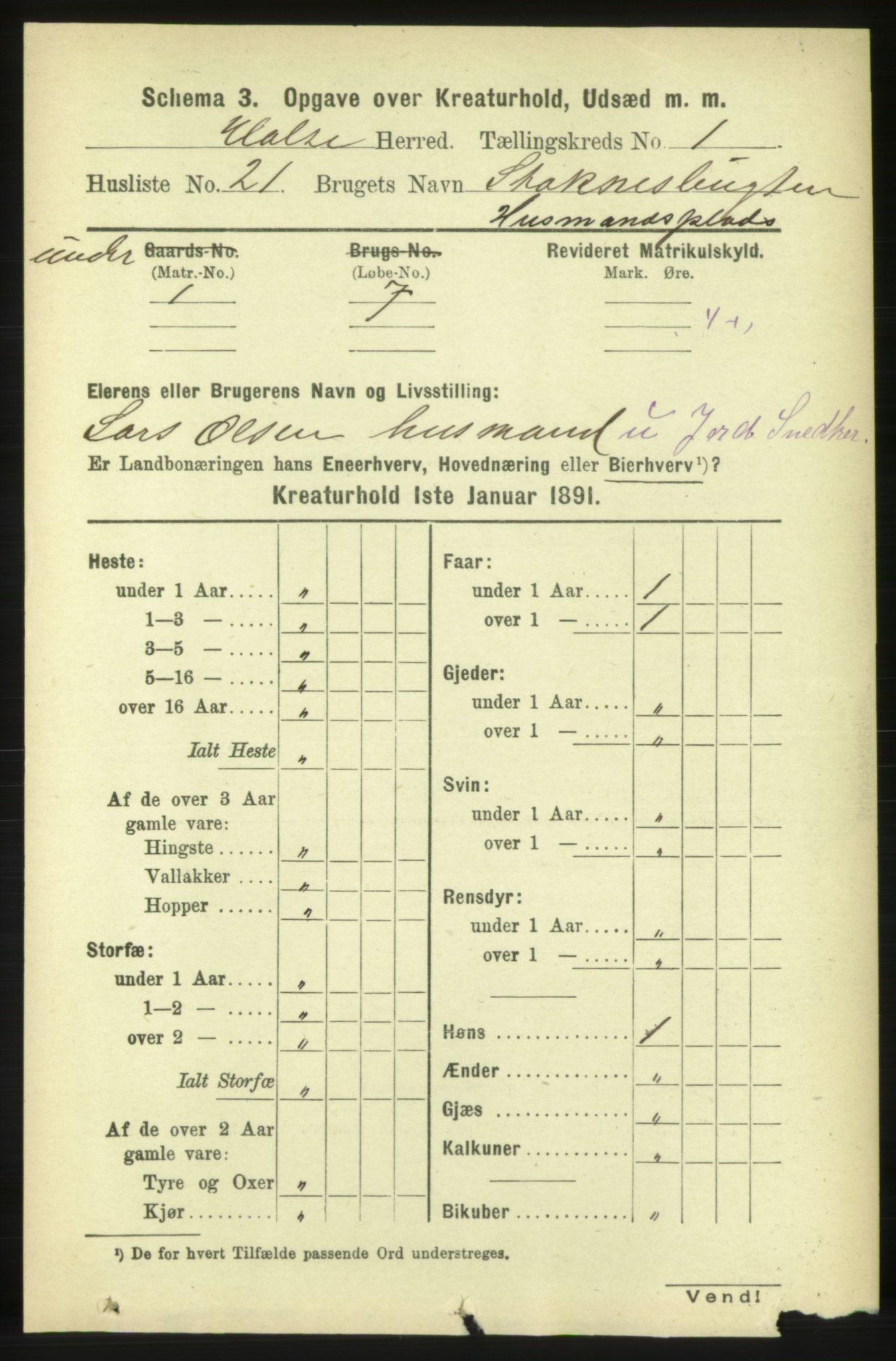 RA, 1891 census for 1571 Halsa, 1891, p. 1914