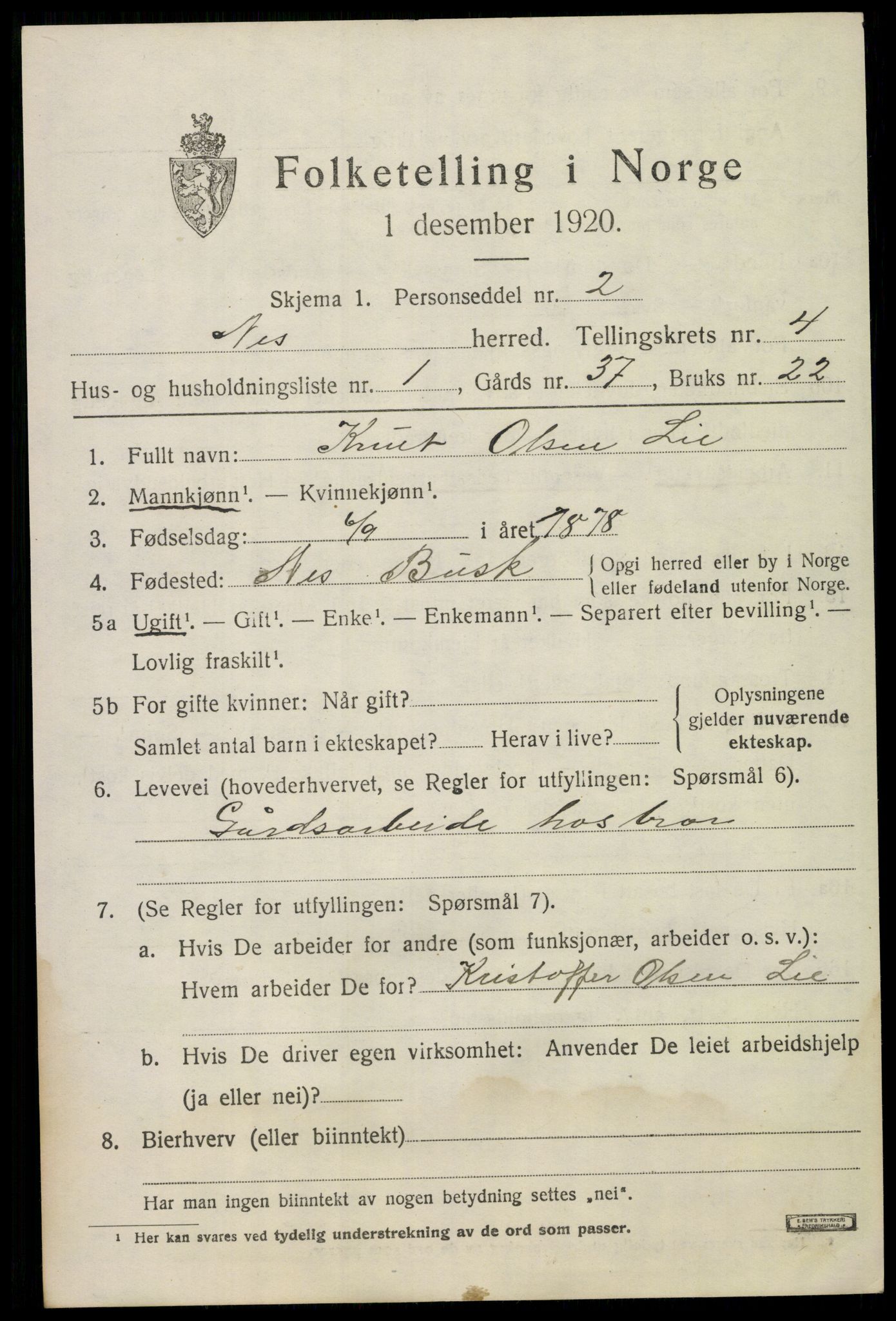 SAKO, 1920 census for Nes (Buskerud), 1920, p. 1986