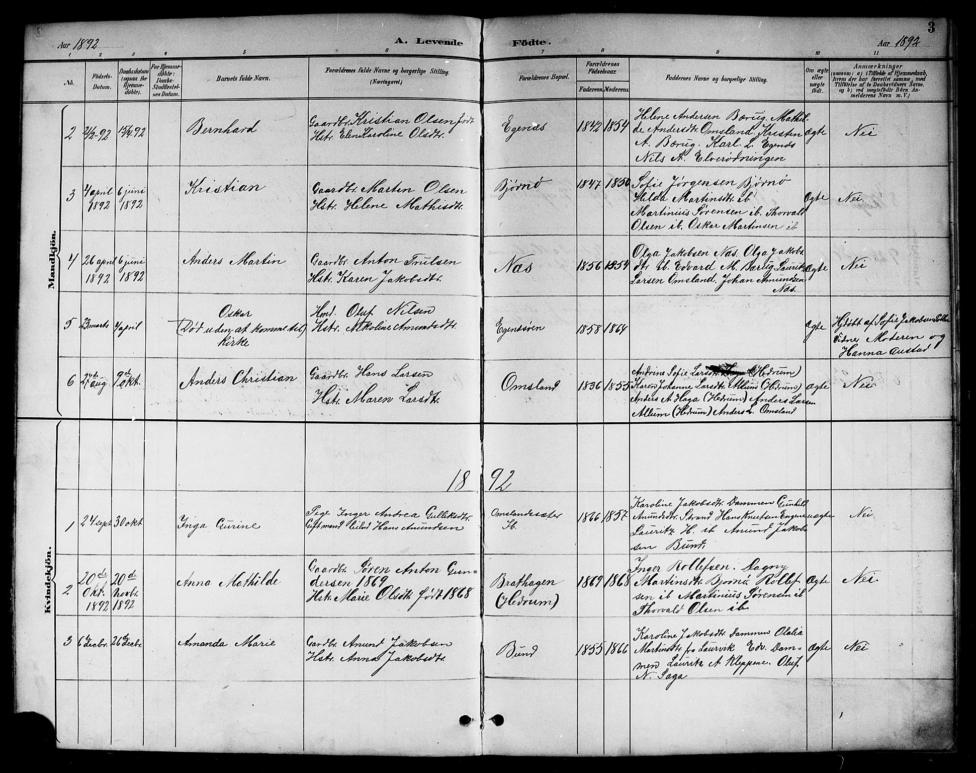 Brunlanes kirkebøker, SAKO/A-342/G/Gc/L0002: Parish register (copy) no. III 2, 1891-1922, p. 3