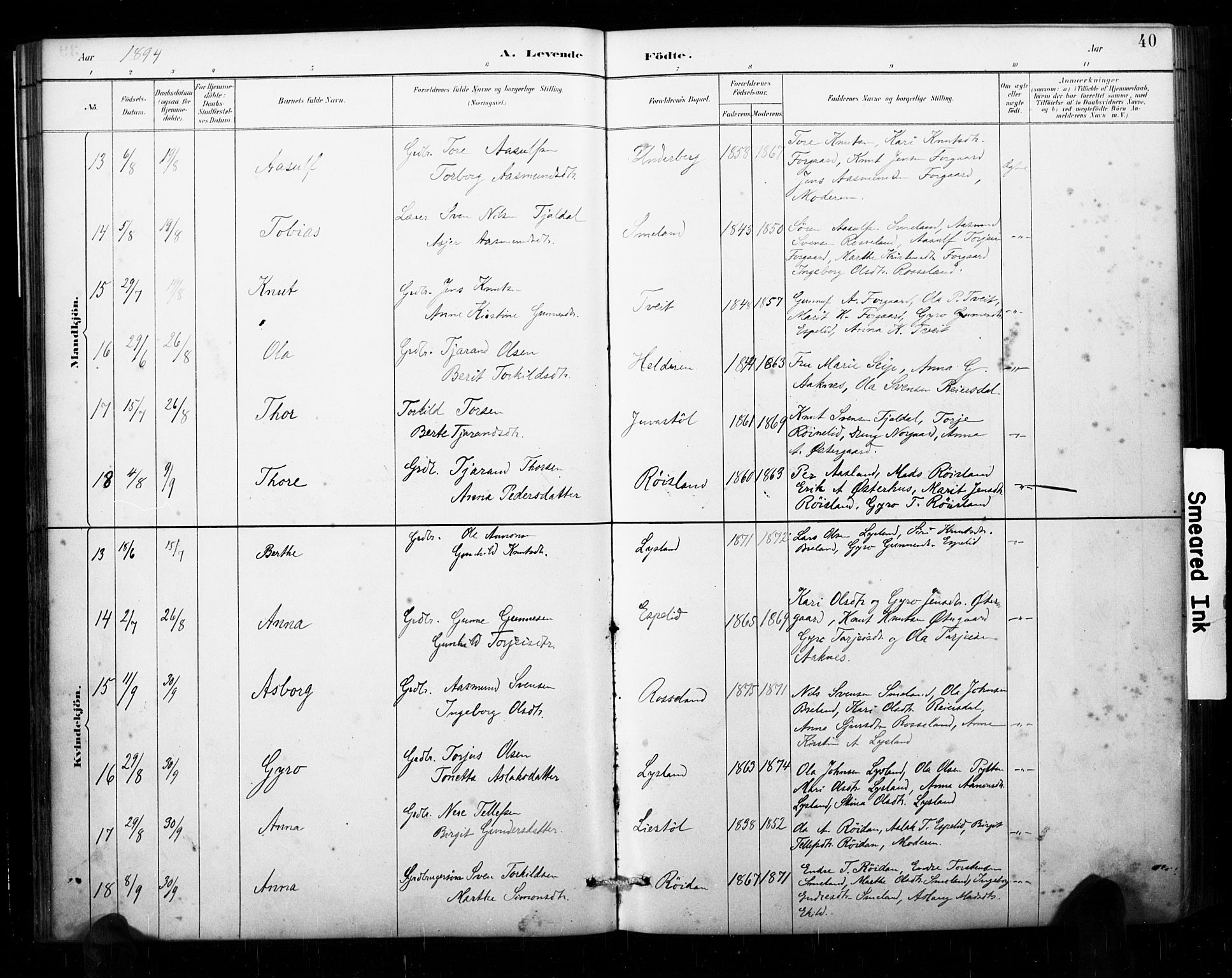 Åseral sokneprestkontor, AV/SAK-1111-0051/F/Fa/L0003: Parish register (official) no. A 3, 1884-1901, p. 40