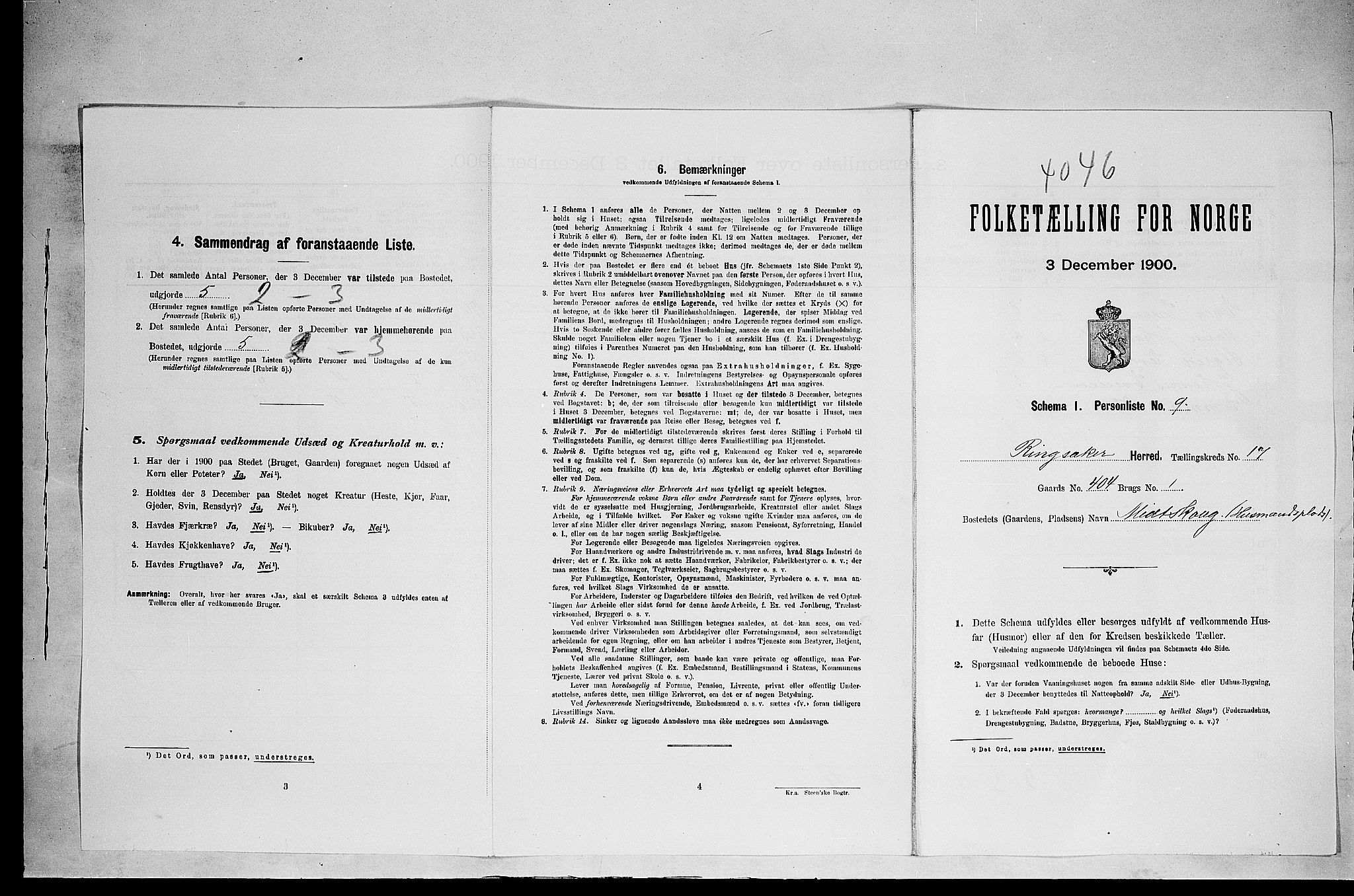 SAH, 1900 census for Ringsaker, 1900, p. 3114