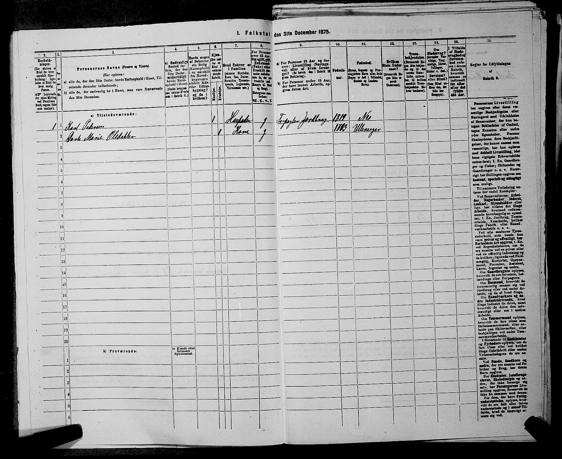 RA, 1875 census for 0236P Nes, 1875, p. 700