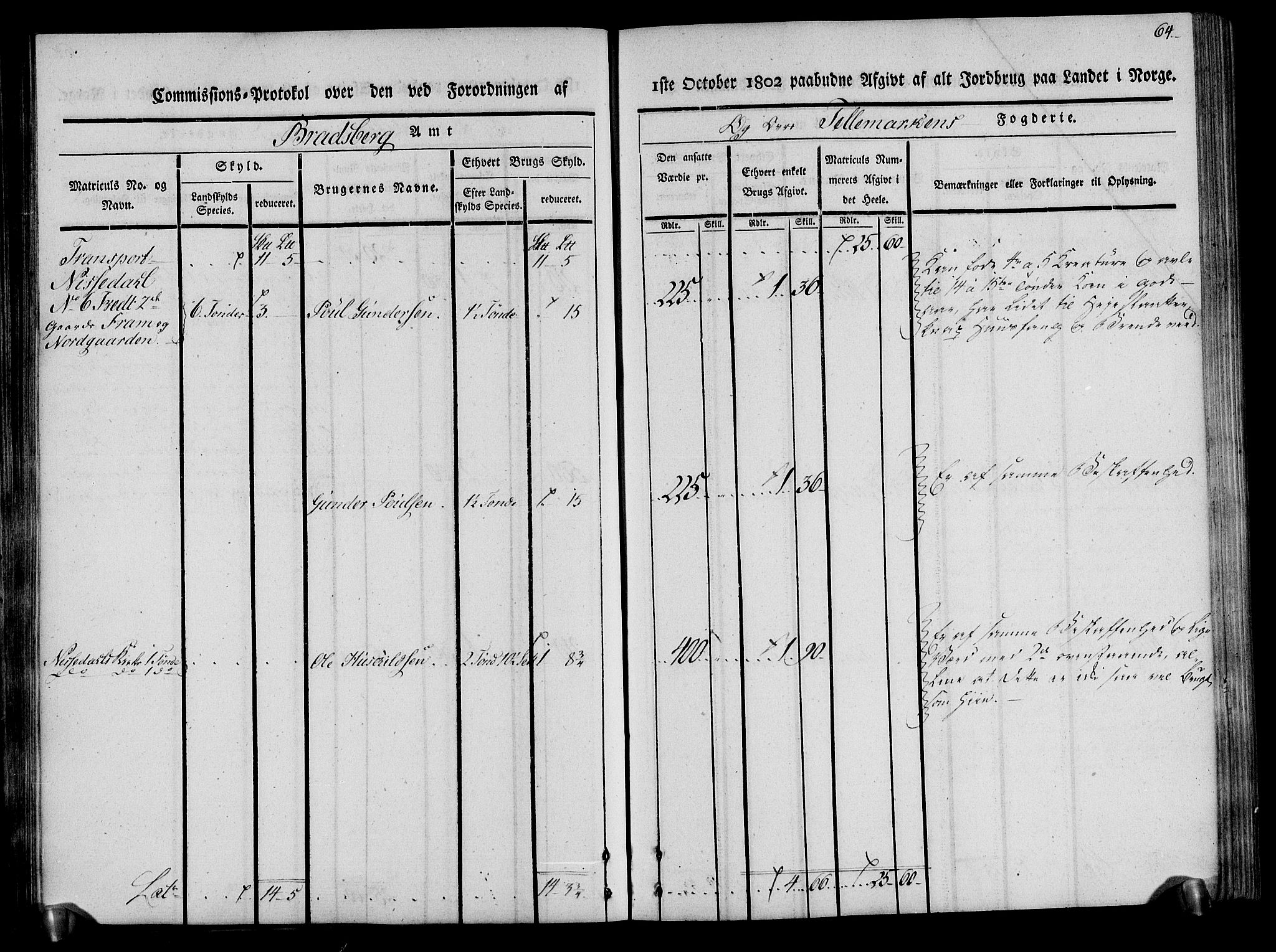 Rentekammeret inntil 1814, Realistisk ordnet avdeling, RA/EA-4070/N/Ne/Nea/L0075: Øvre Telemarken fogderi. Kommisjonsprotokoll for fogderiets vestre del - Kviteseid, Vinje, Moland [):Fyresdal] og Lårdal prestegjeld., 1803, p. 64