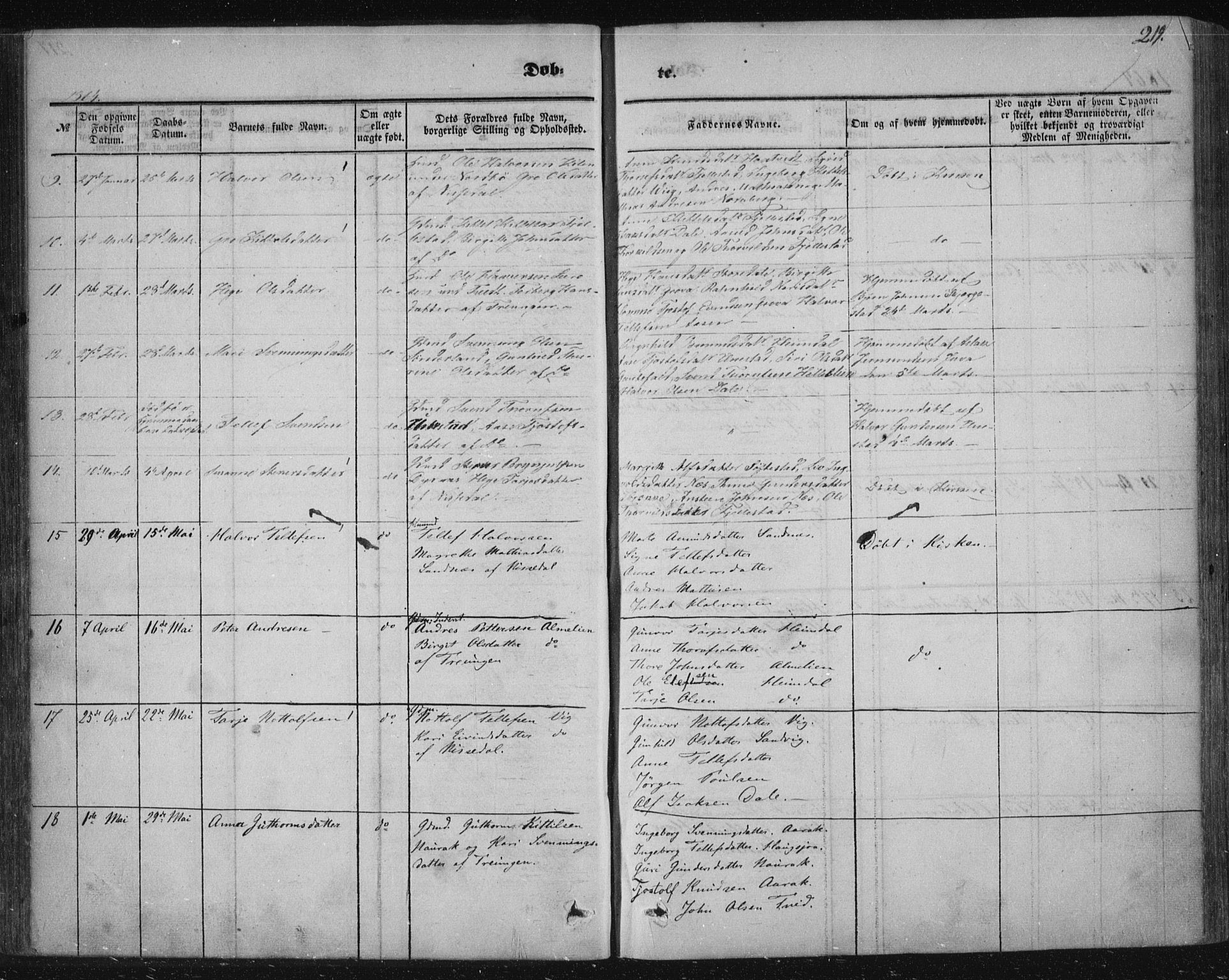 Nissedal kirkebøker, SAKO/A-288/F/Fa/L0003: Parish register (official) no. I 3, 1846-1870, p. 218-219